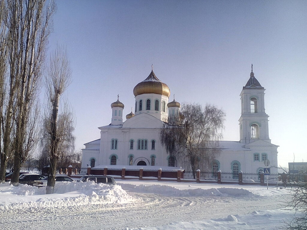 كنيسة أرثوذكسية Церковь Троицы Живоначальной ، مقاطعة فورونيج، صورة