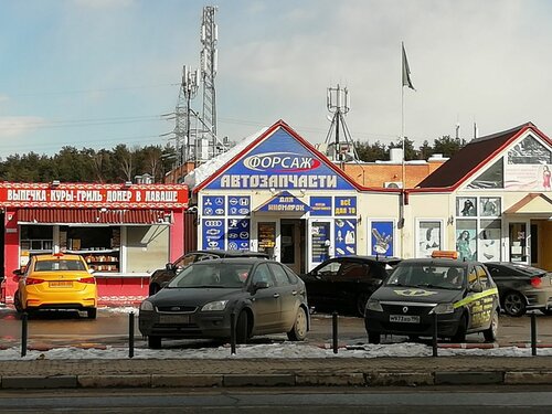 Магазин автозапчастей и автотоваров Форсаж, Балашиха, фото