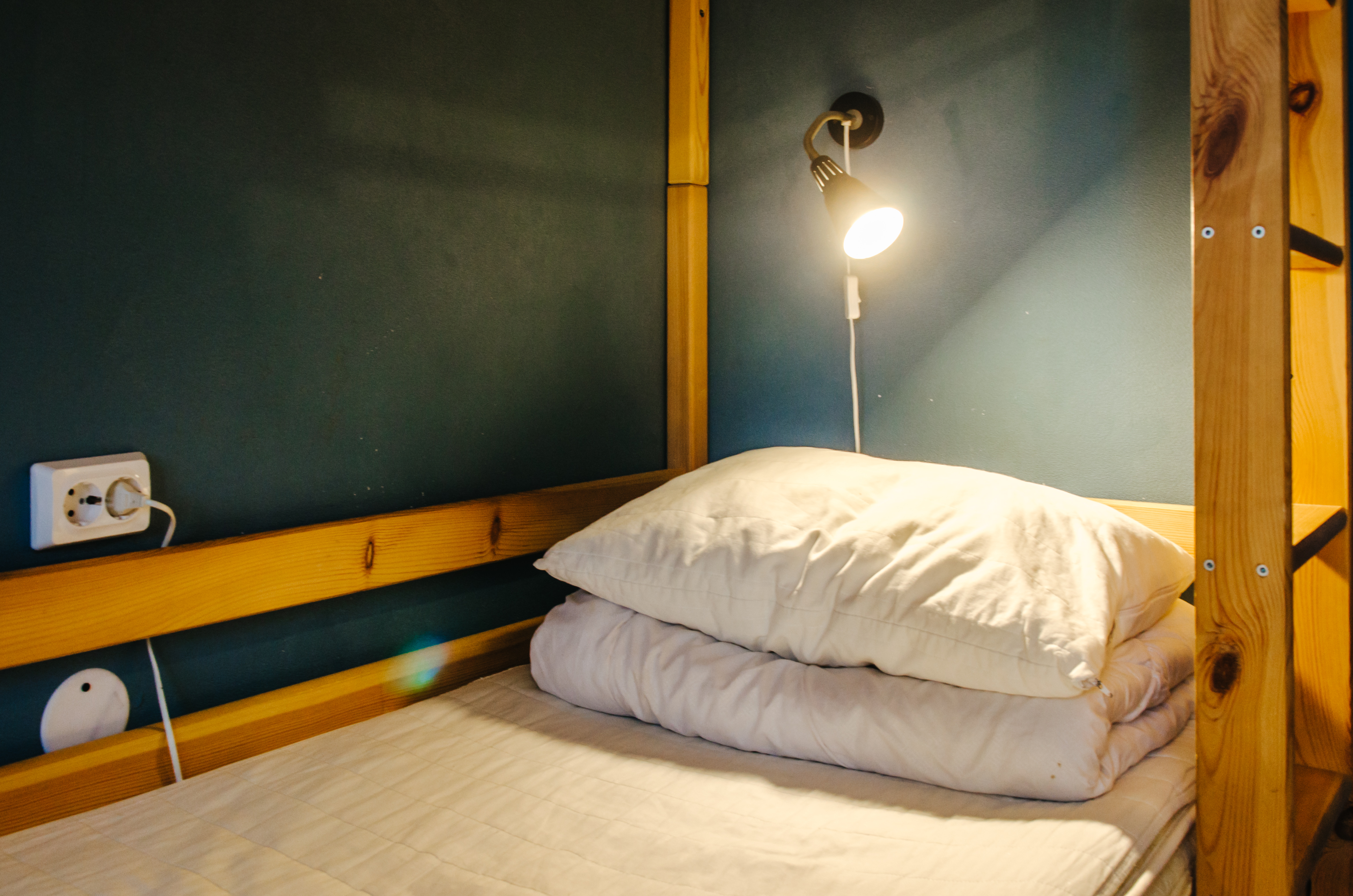 Фото Брусничка