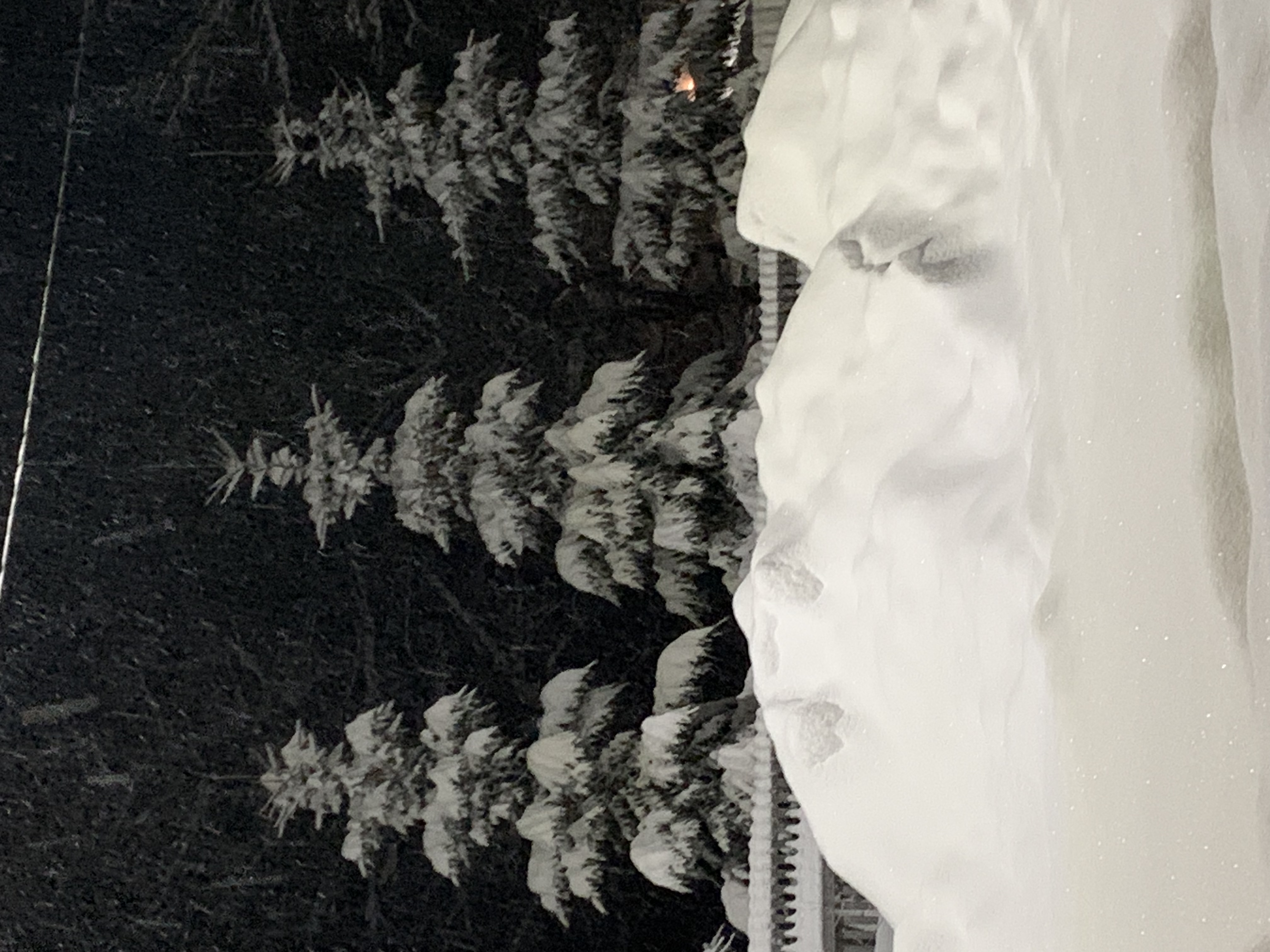 Фото Солнечная