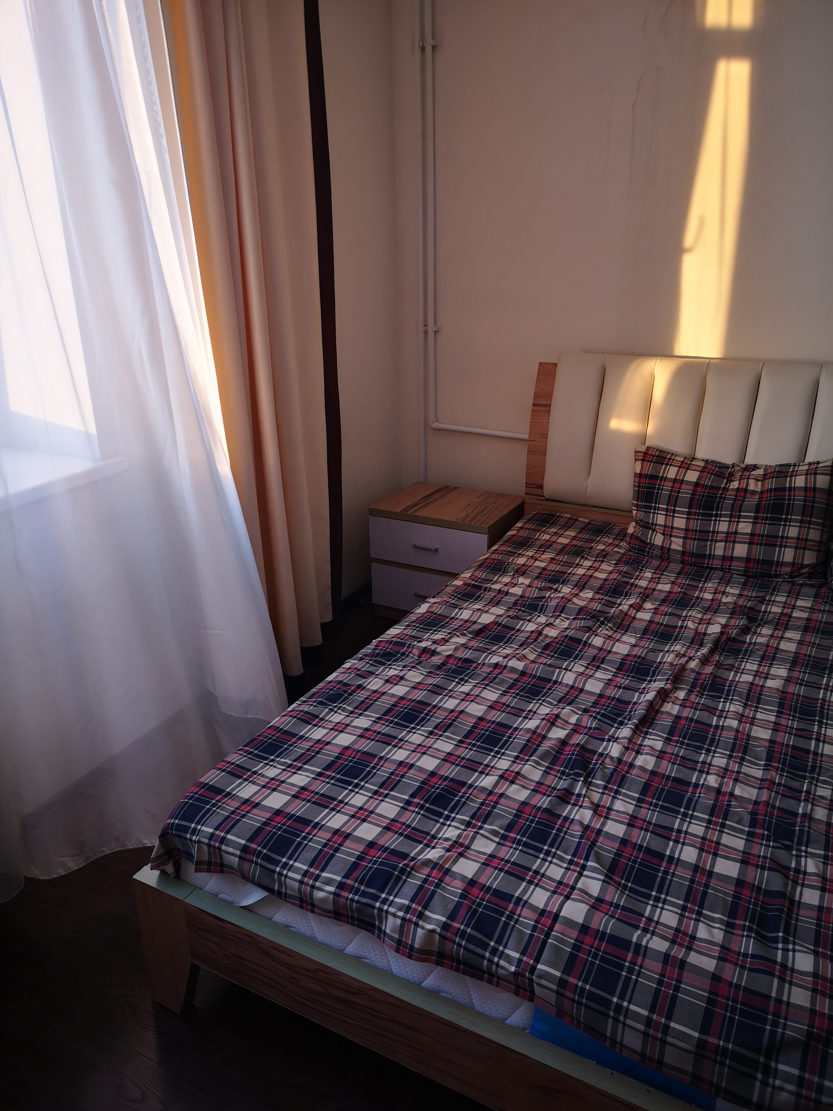 Фото Облепиха