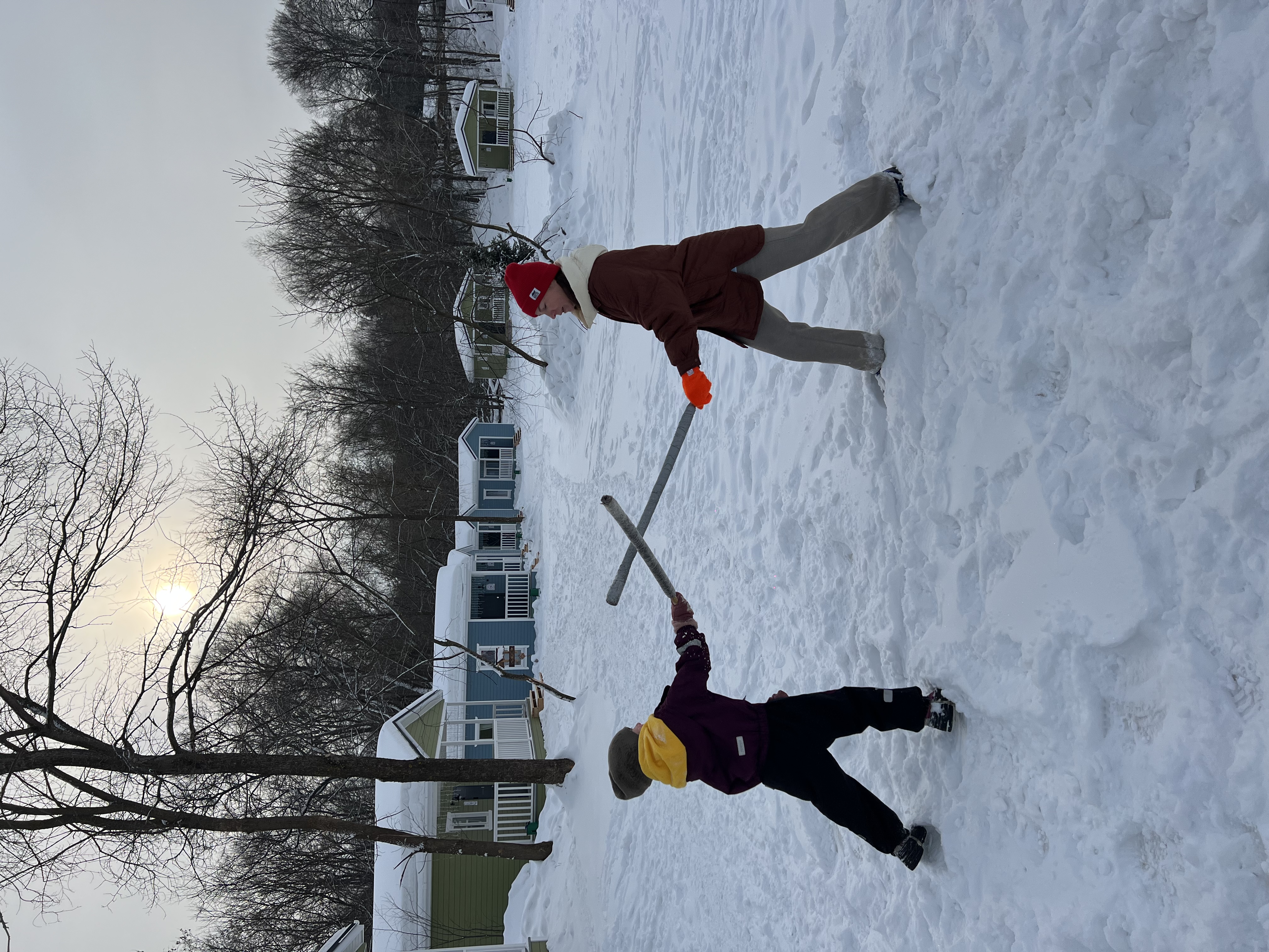 Фото Лес и Река