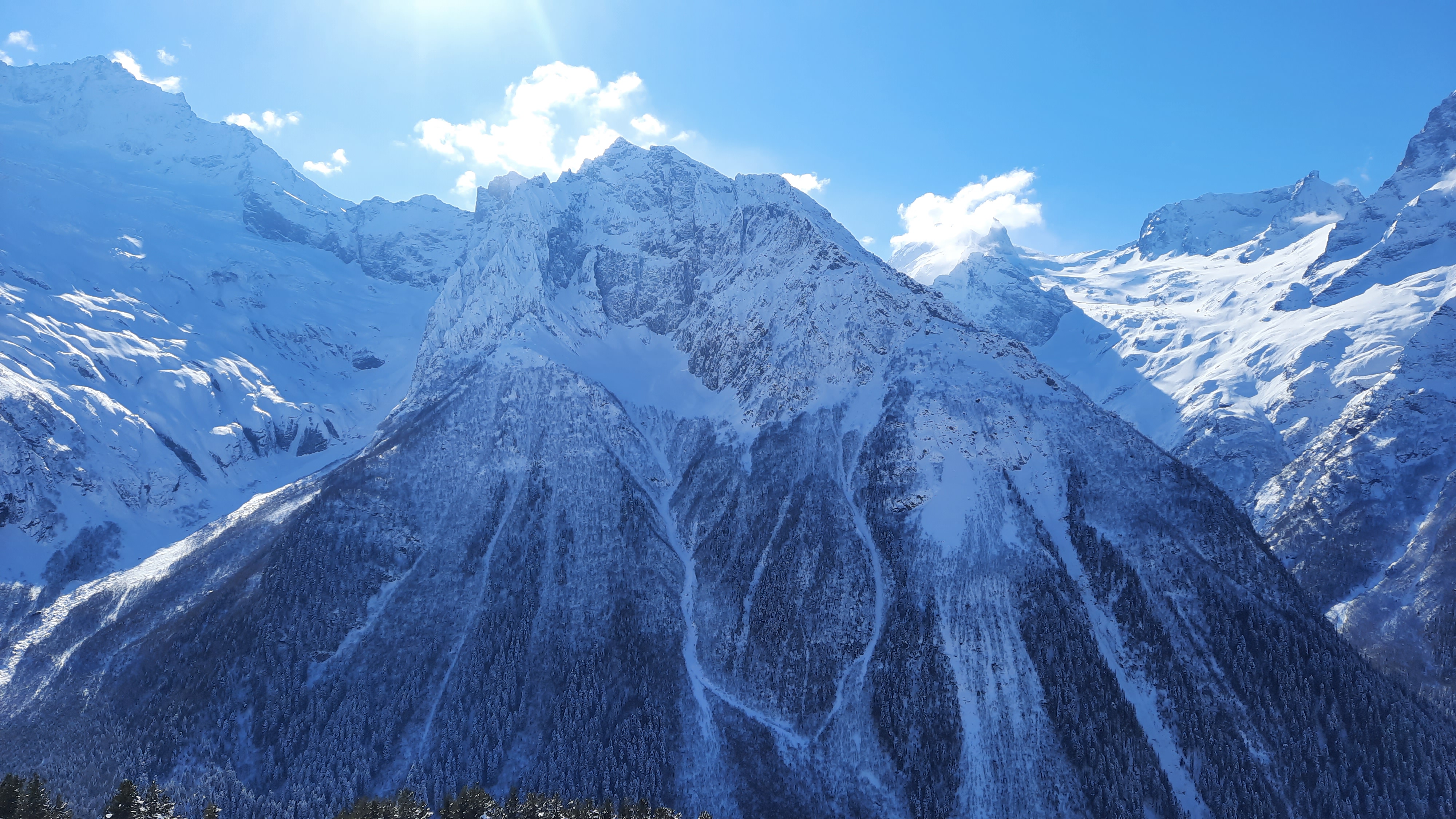 Фото Снежный Барс