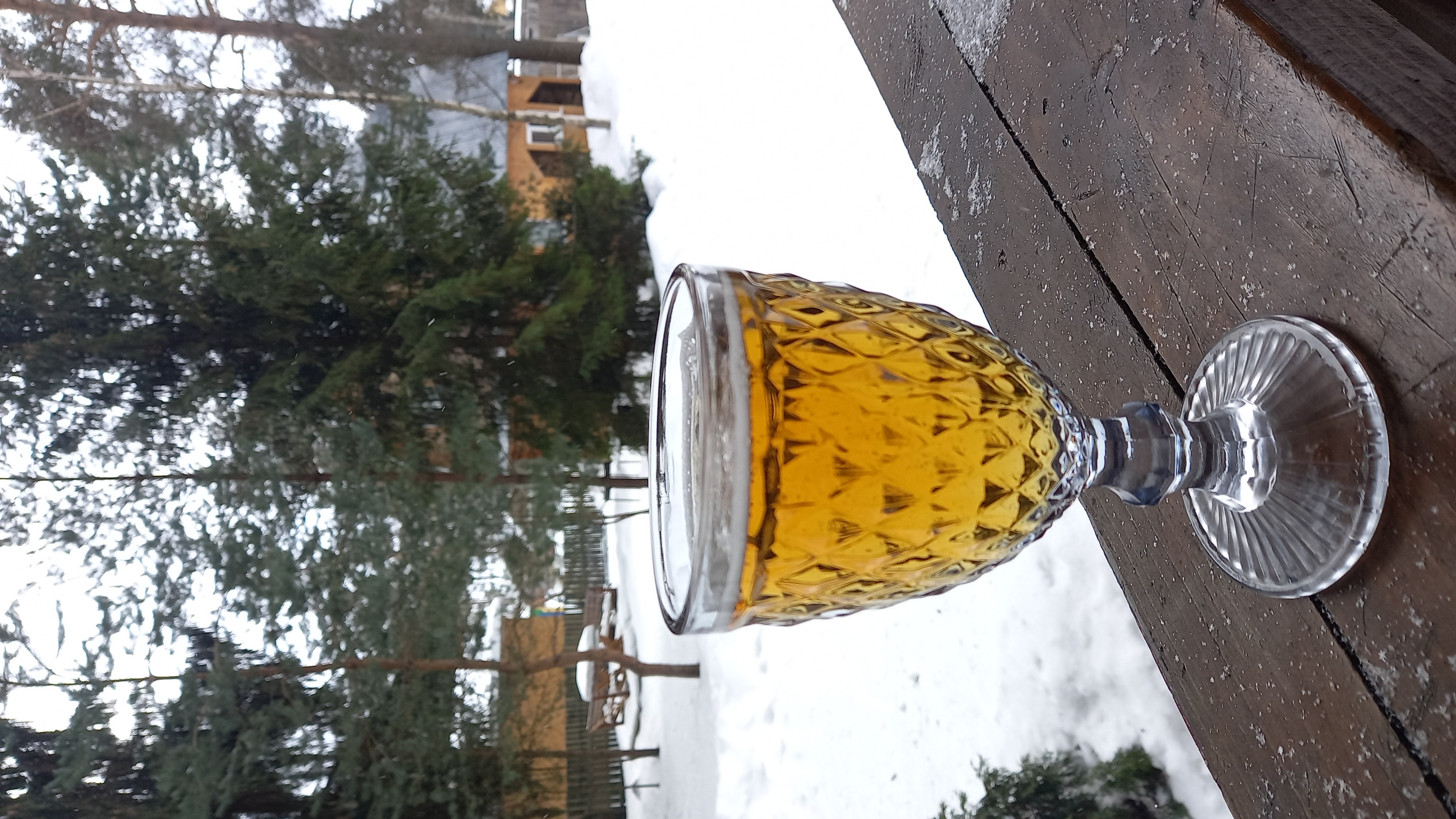 Фото Отдых на Волго