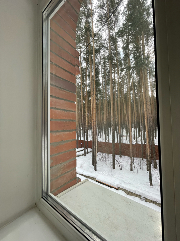 Фото Лесная поляна