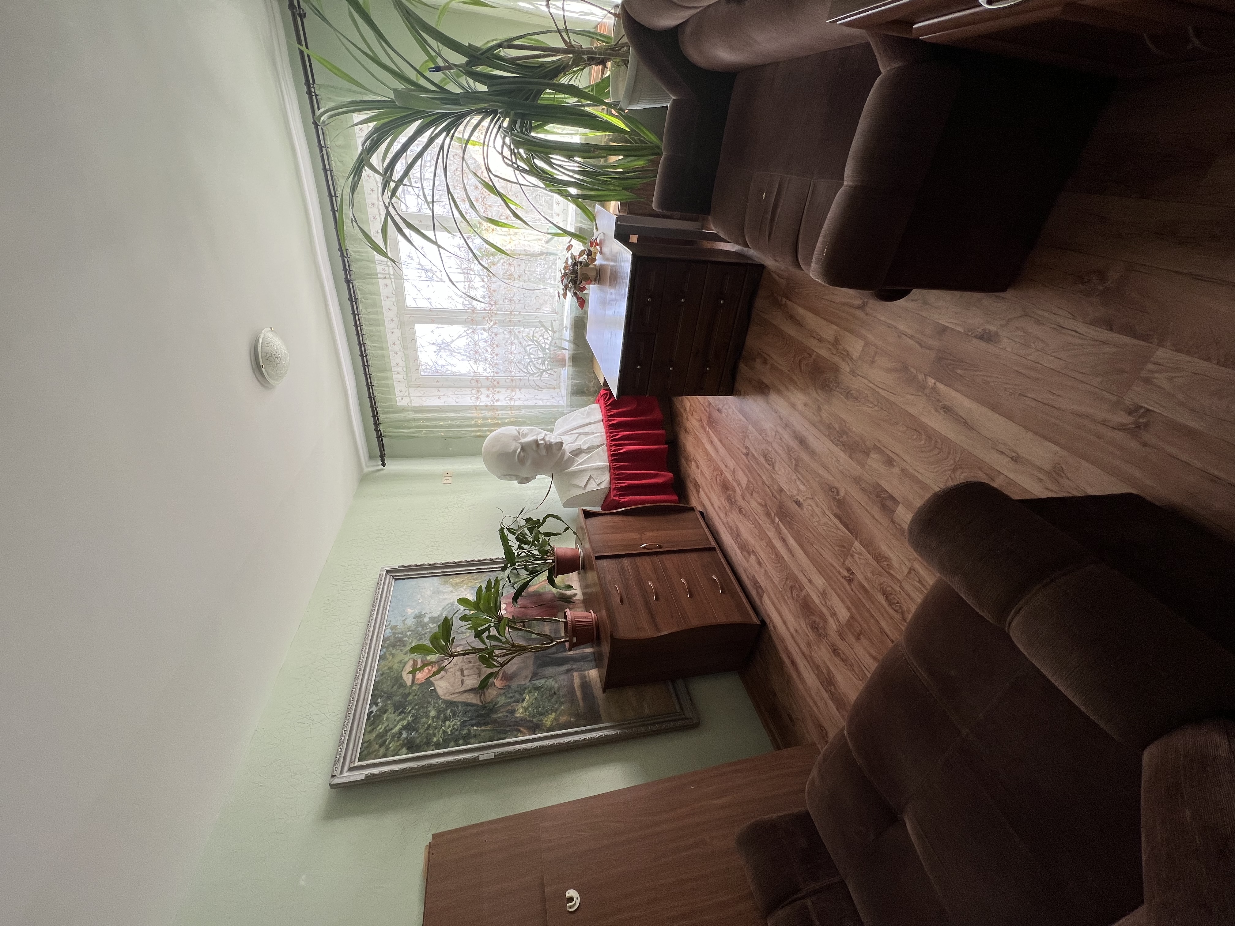 Фото Берёзка