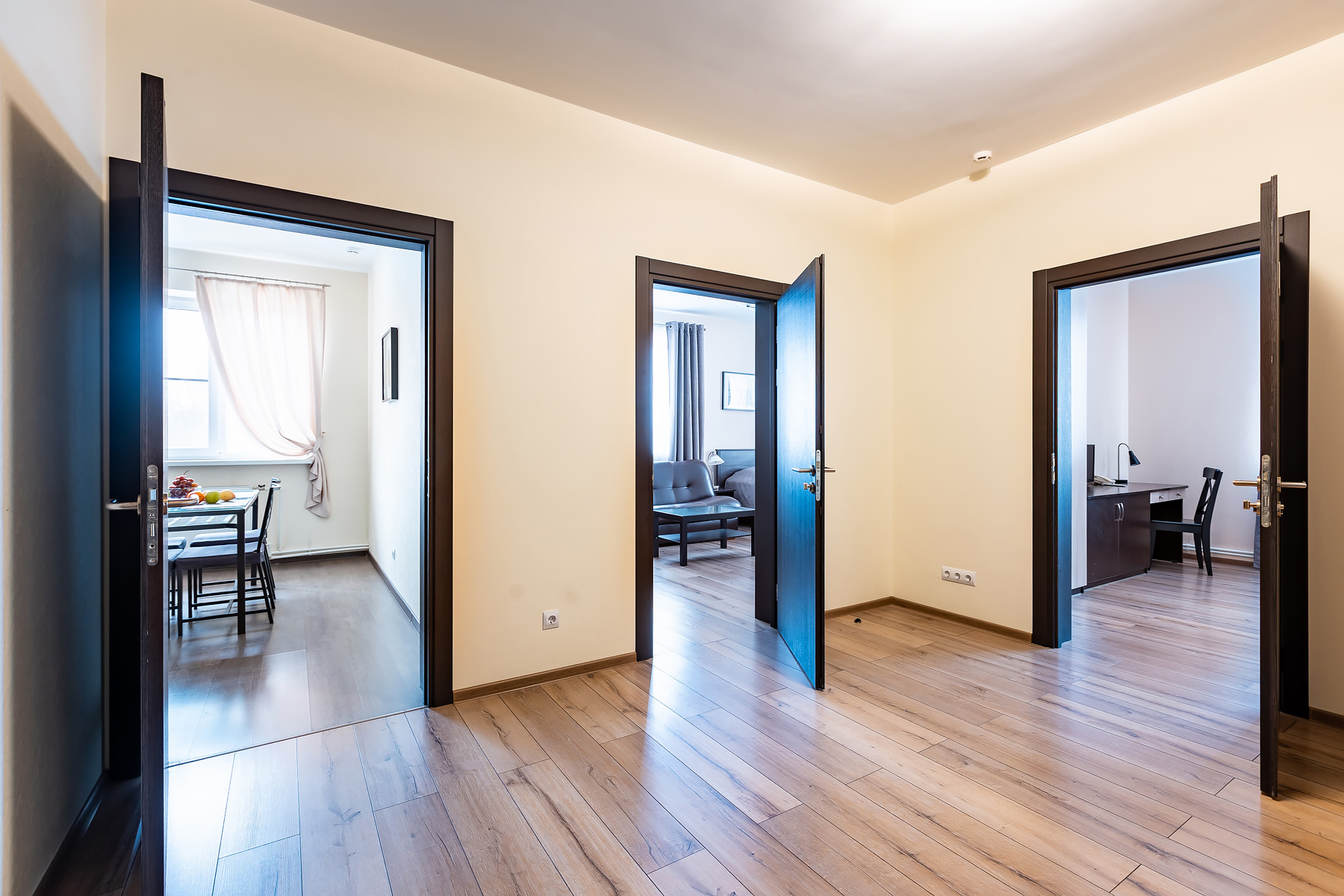 Фото Подсолнух