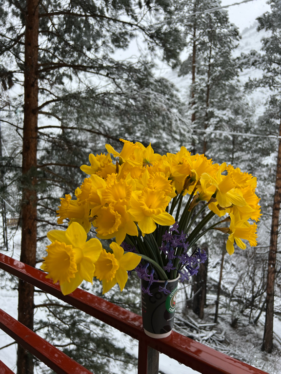Фото Hillside Cheget