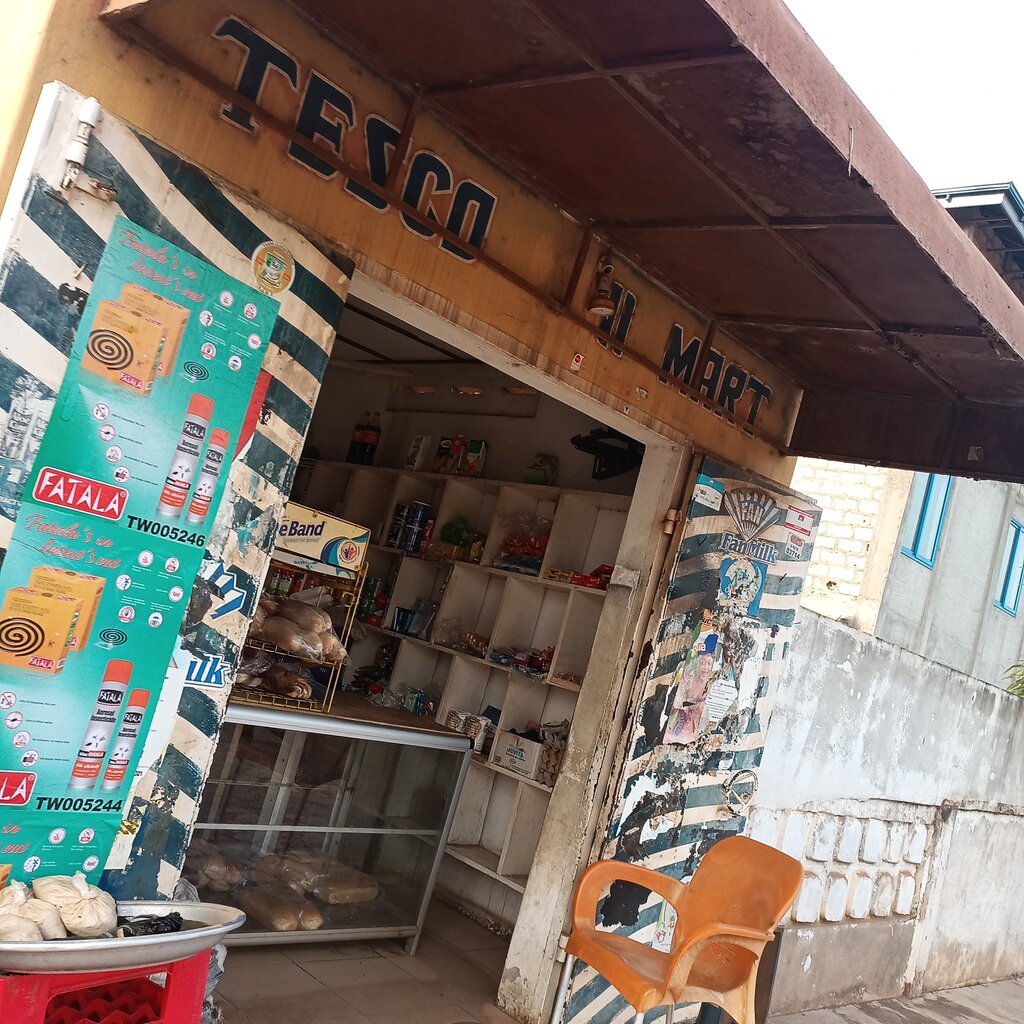 Stockings and tights shop Tesco maart, Earth, photo
