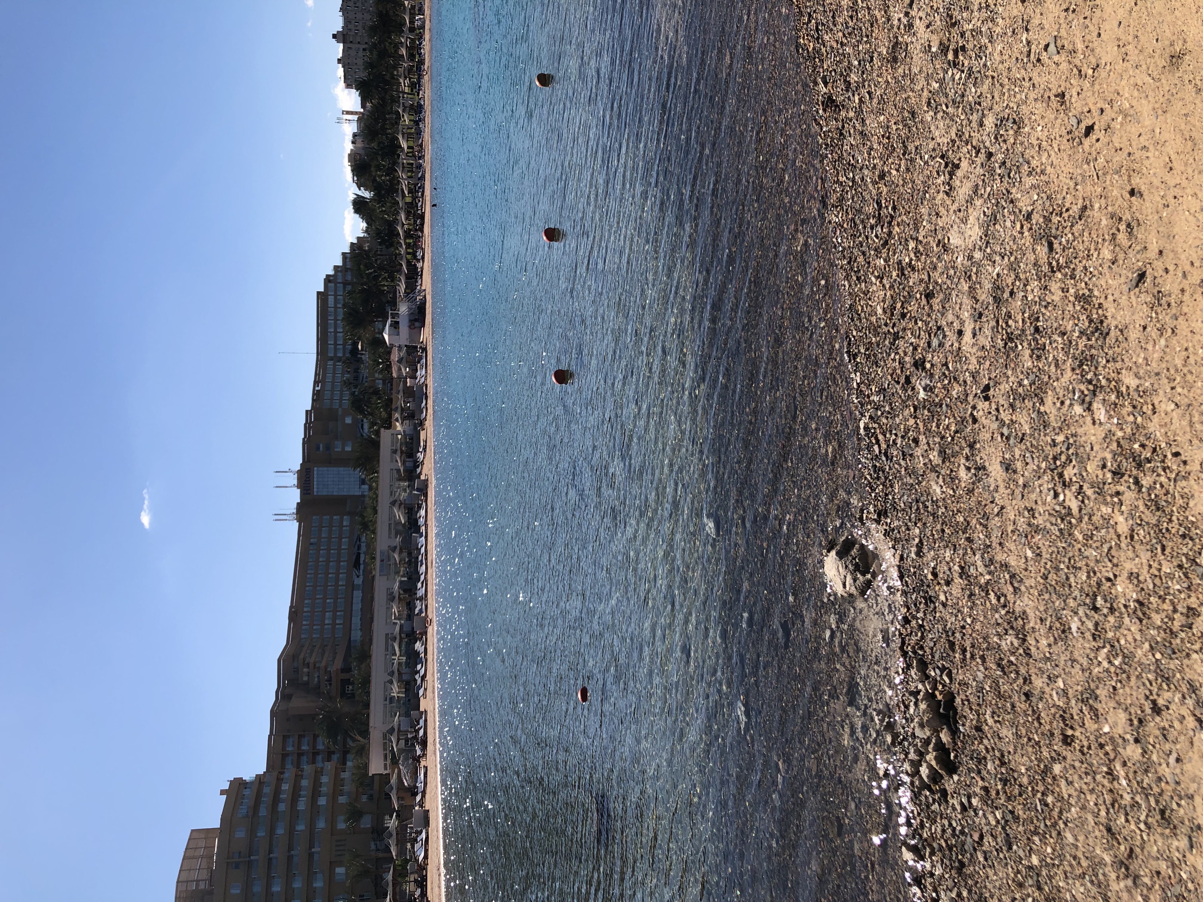 Фото Hilton Hurghada Plaza