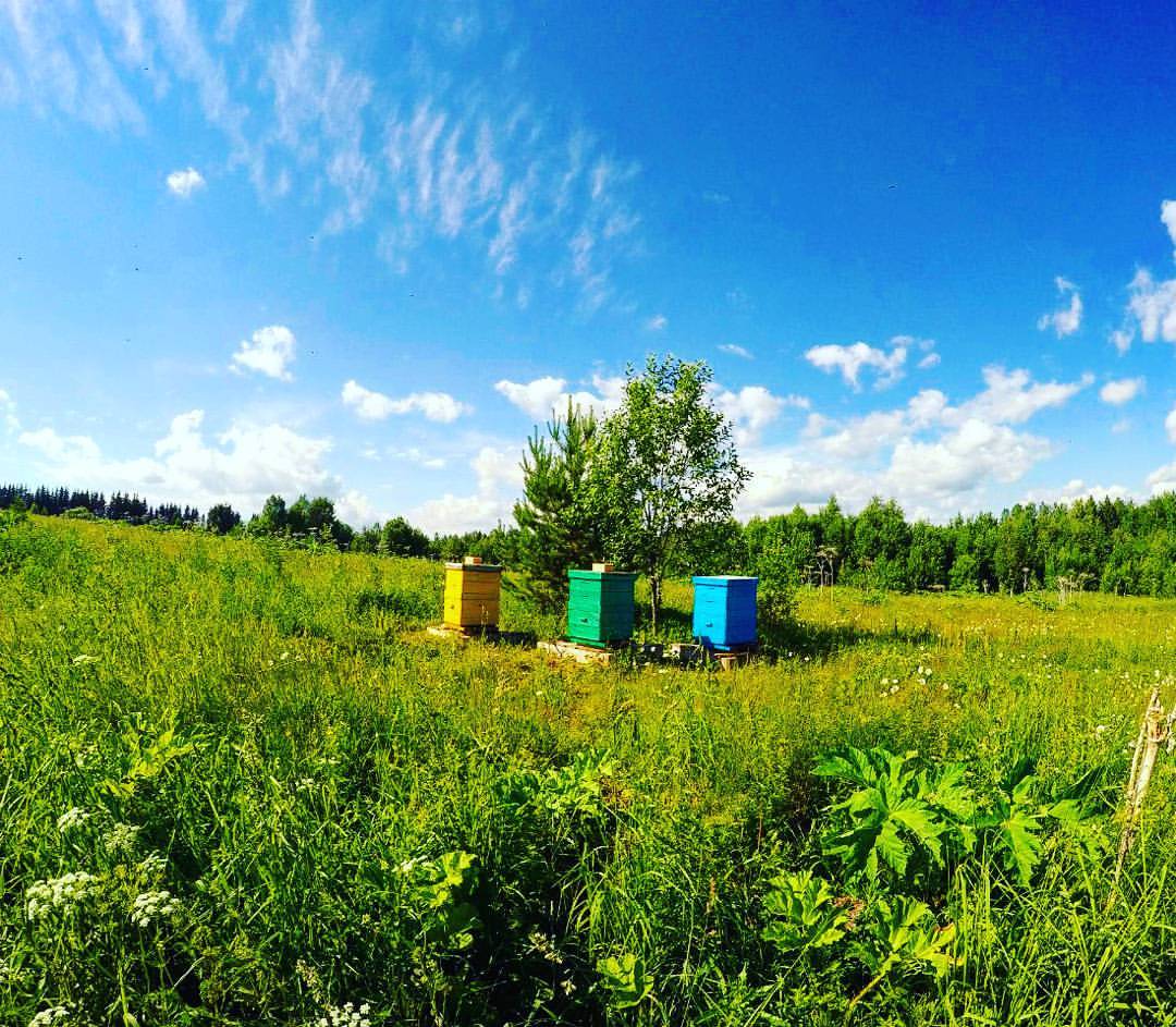 Фото Гостевой комплекс Савапиян