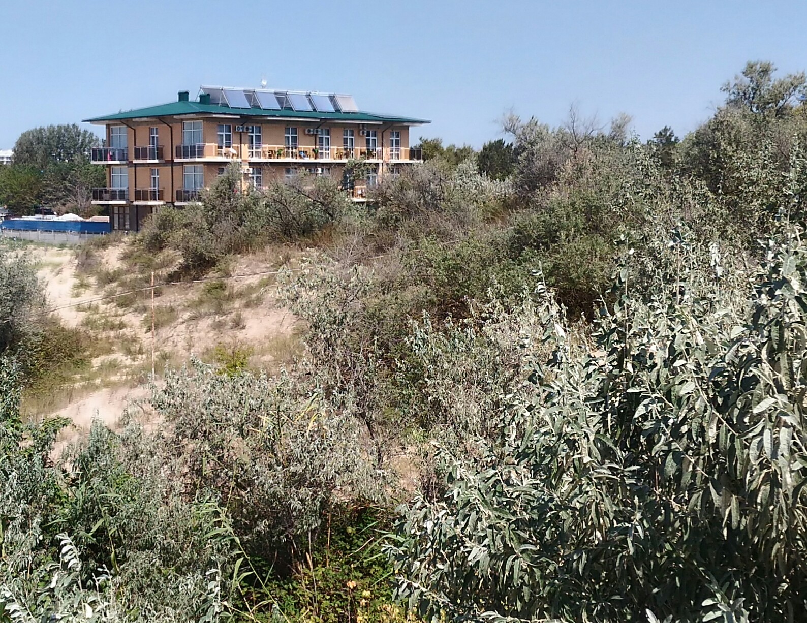 Фото Фантазия