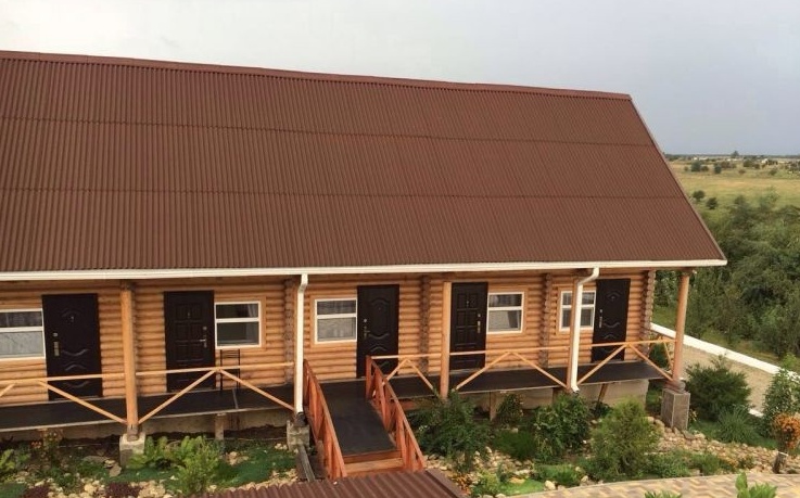 Фото Золотая рыбка