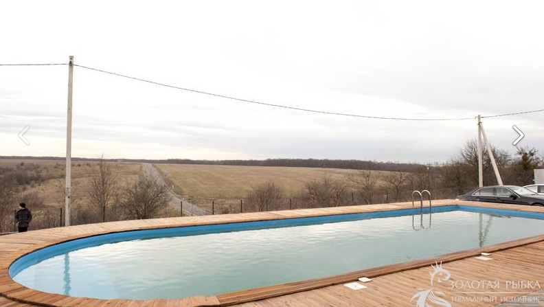 Фото Золотая рыбка