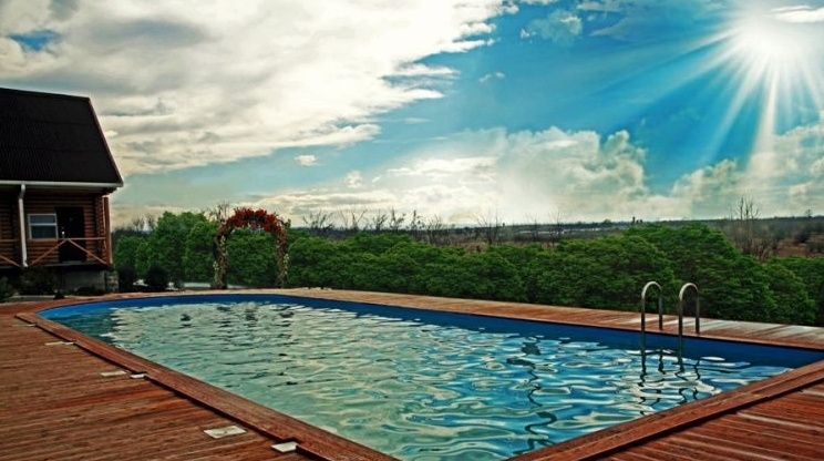 Фото Золотая рыбка