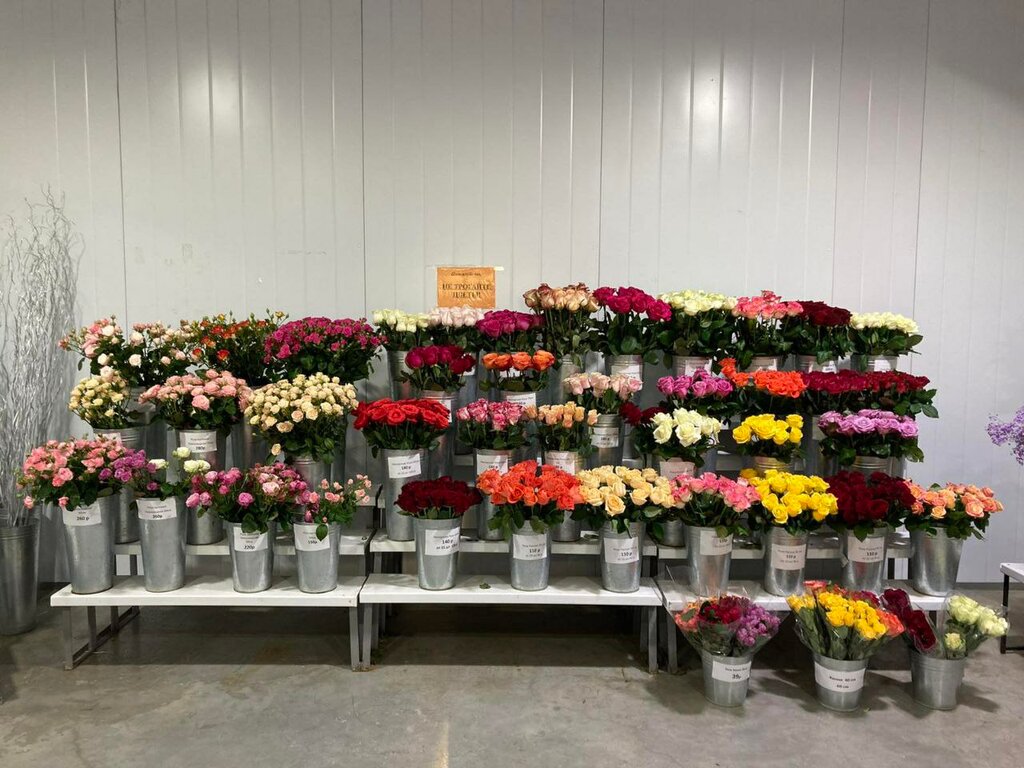 Floristeria The world of flowers, , foto