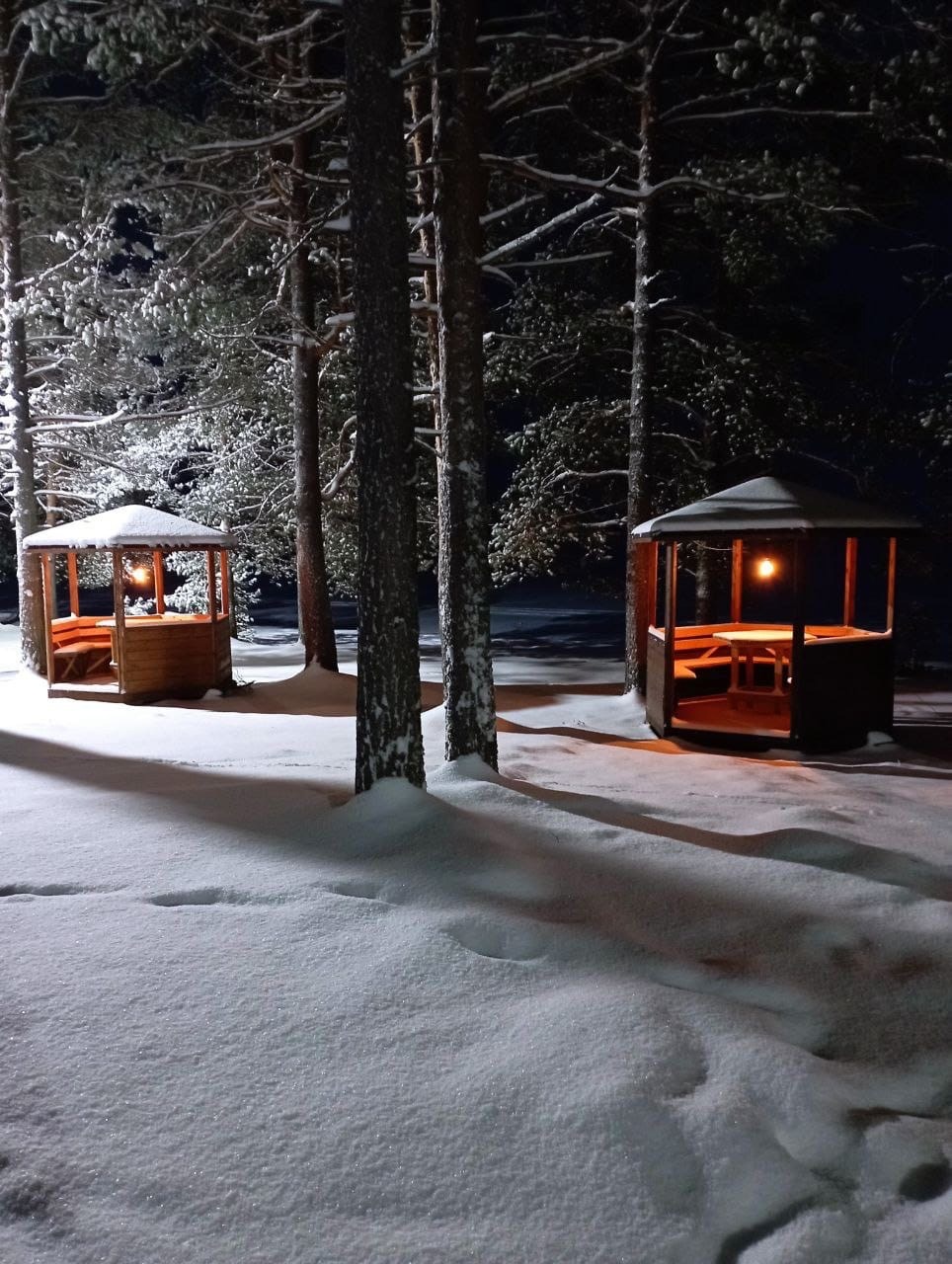 Фото Кангас