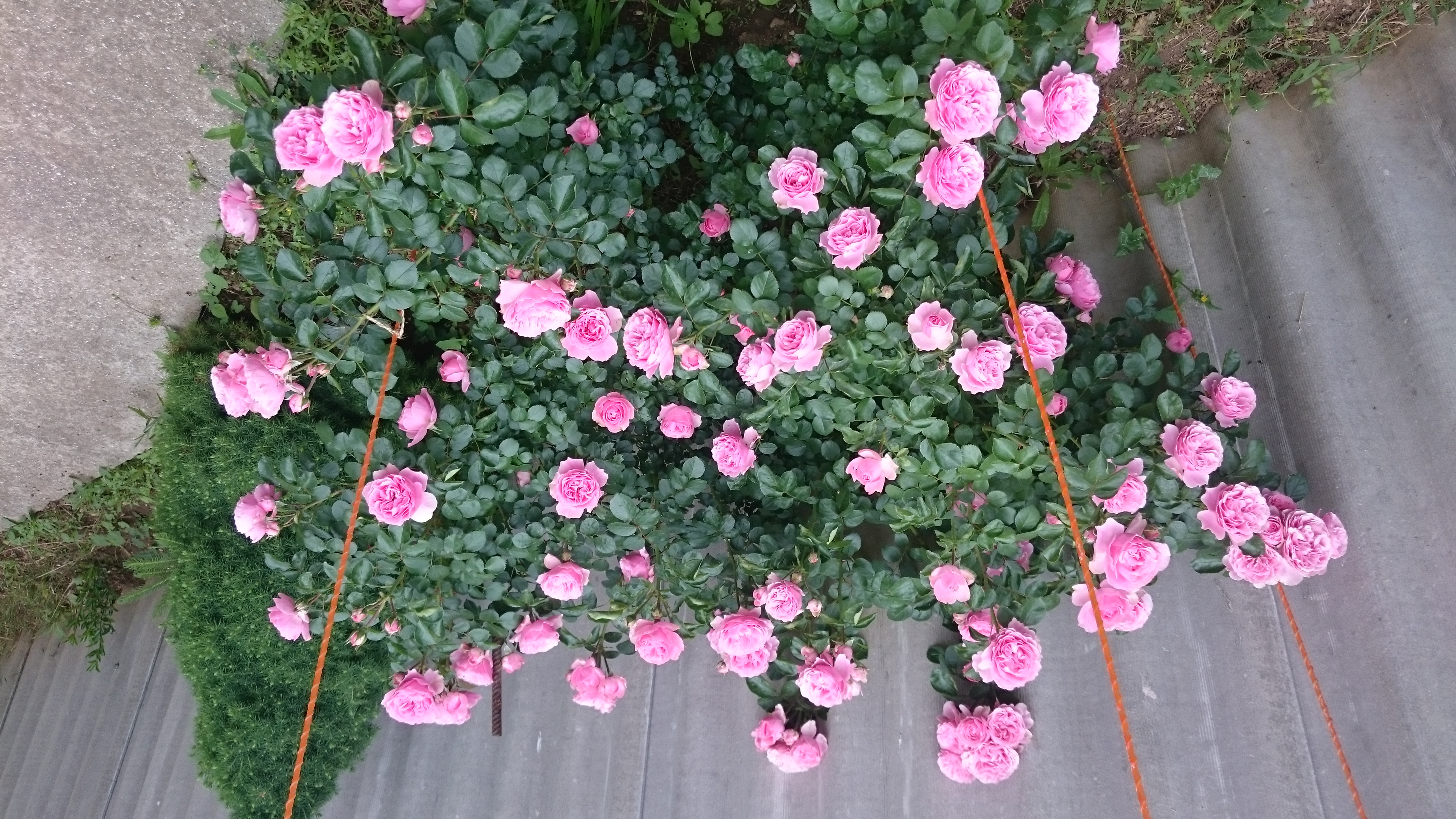 Фото ТО, что надо!