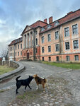 Gerdauen Kreishaus (posyolok Zheleznodorozhny, Kommunisticheskaya Street, 39), landmark, attraction