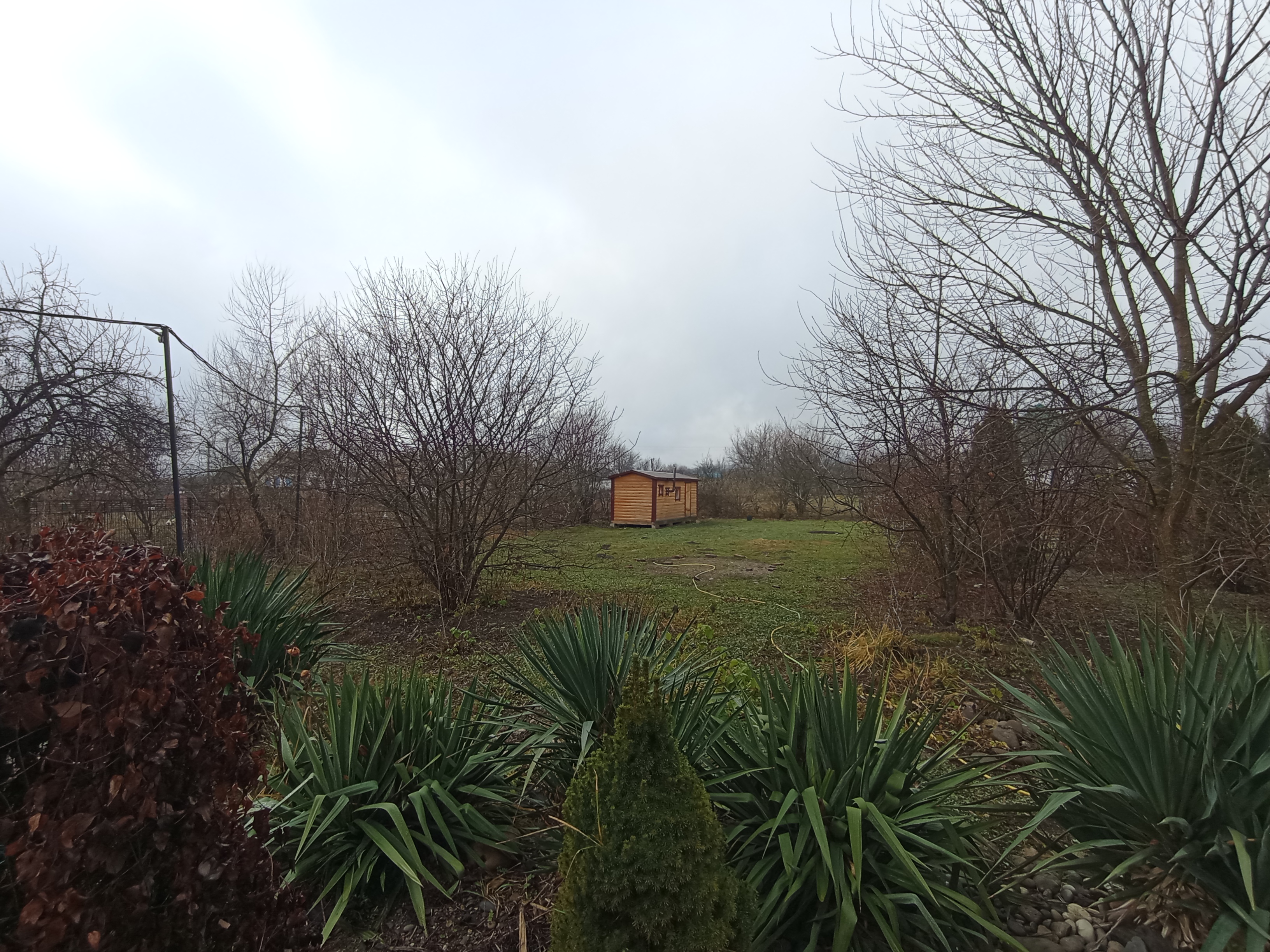 Фото Раздолье плюс