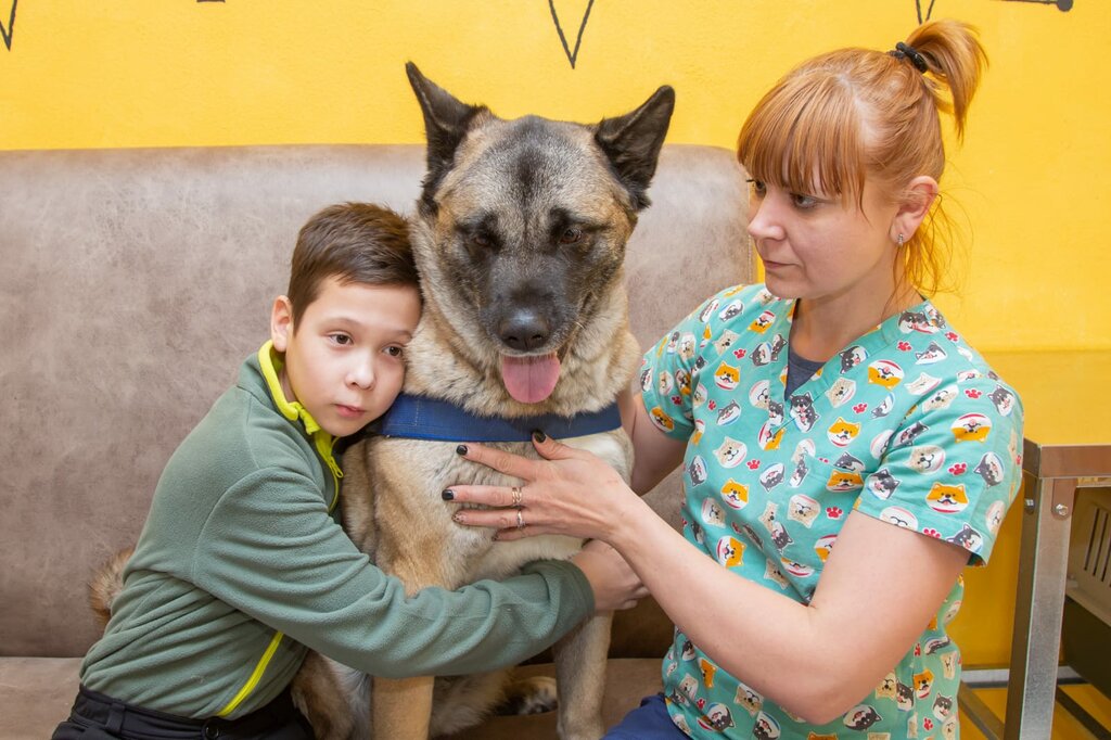 Veterinary clinic Evita Dolce Vita, Nizhny Novgorod Oblast', photo