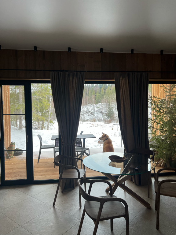 Фото Шелест