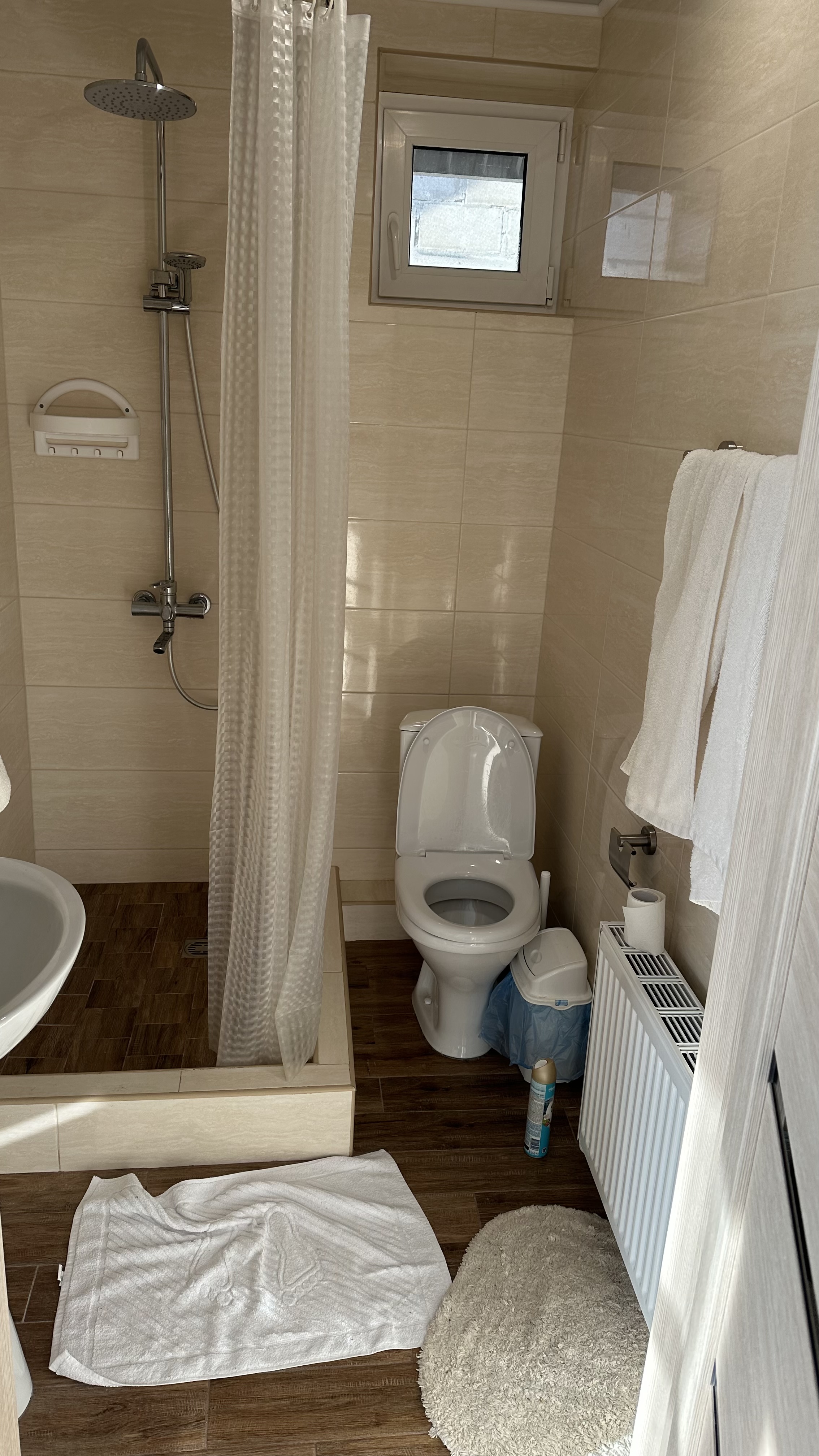 Фото Феникс