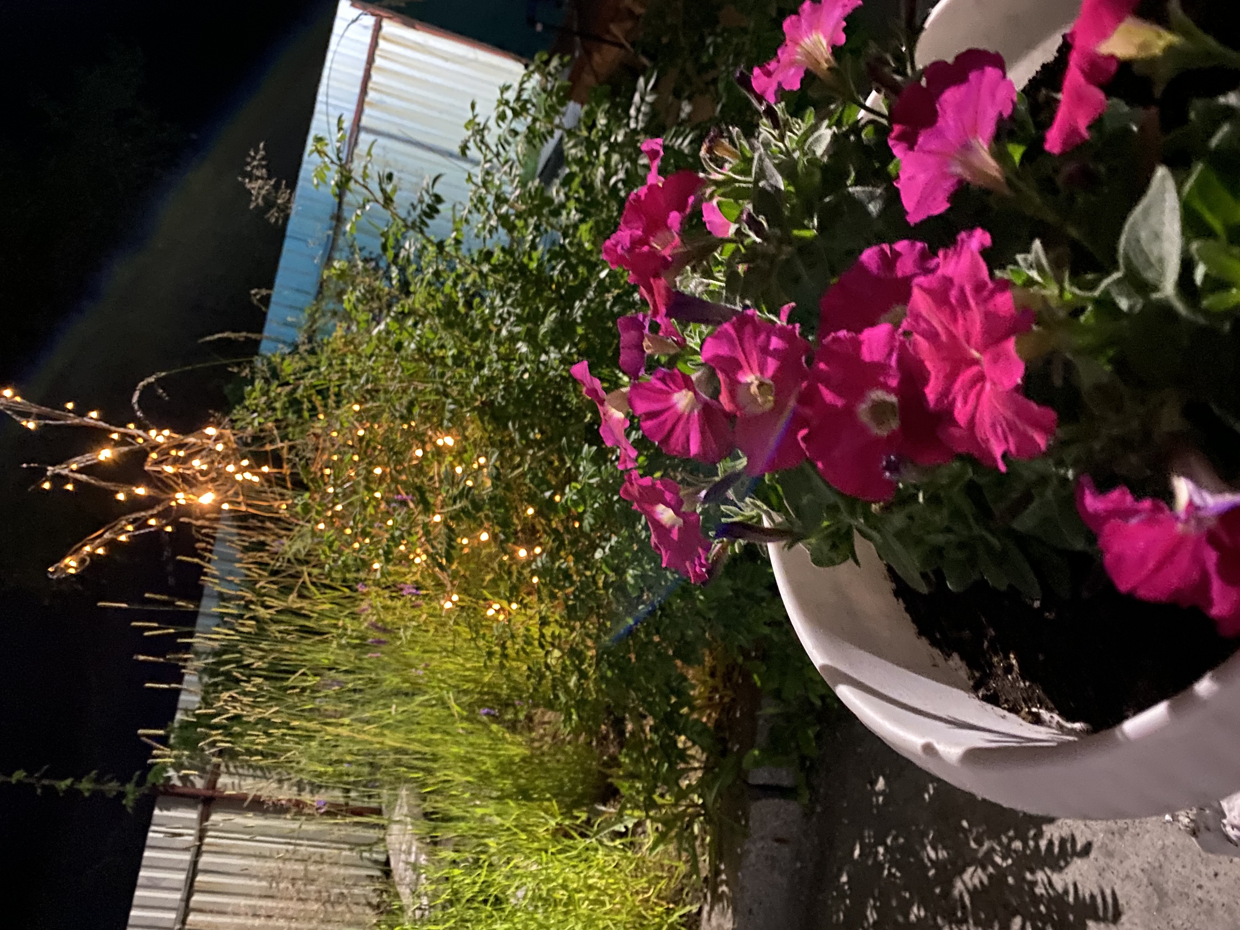 Фото Тихая Гавань