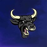 BlackBull (посёлок Городищи, Советская ул., 1А), тонирование автостёкол во Владимирской области
