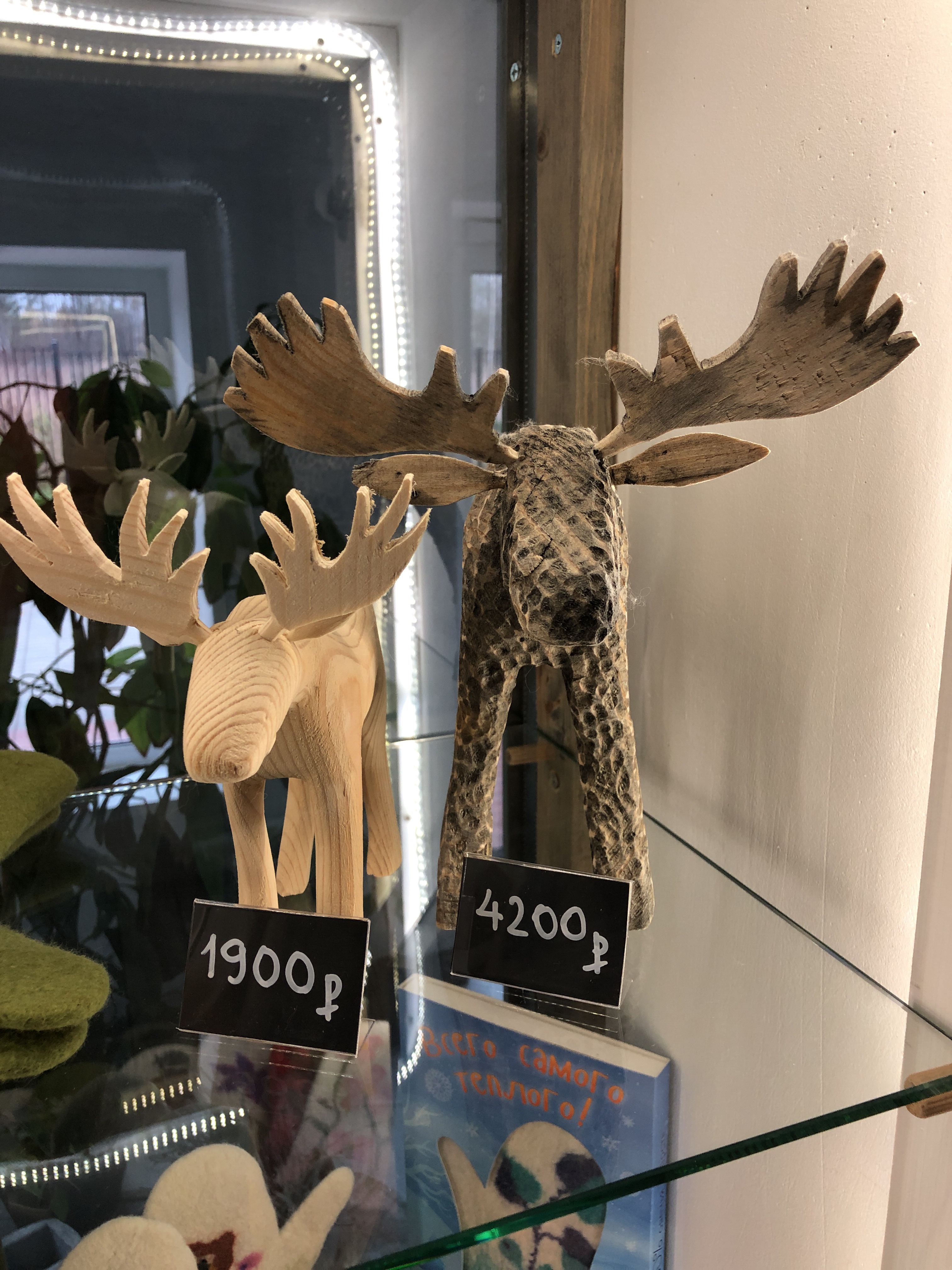 Фото Лосьпробежал