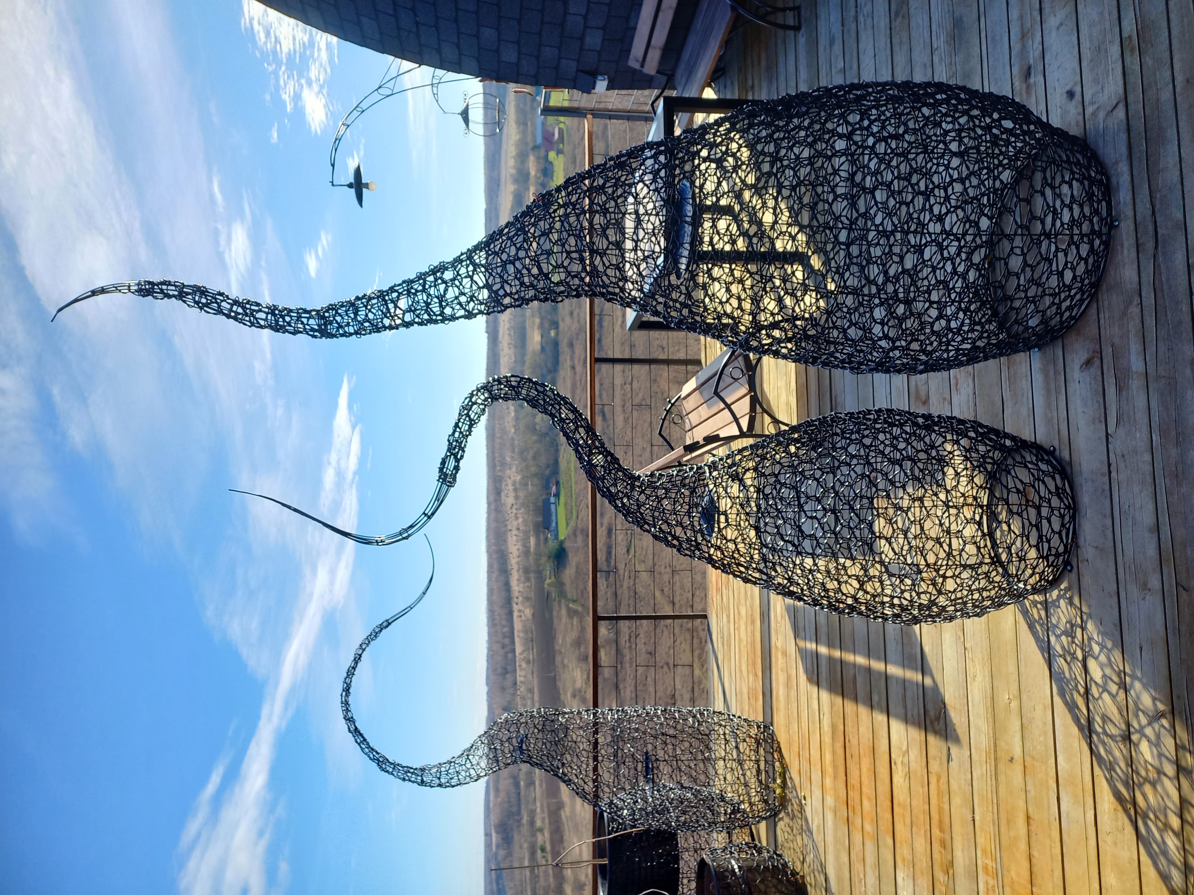 Фото Матерра