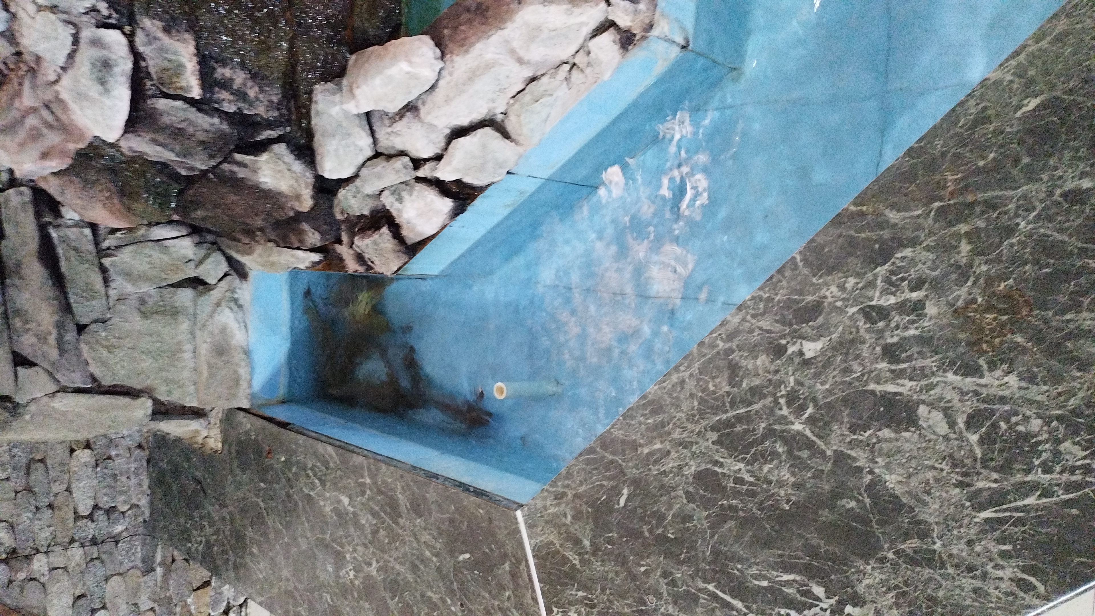 Фото Дарьял