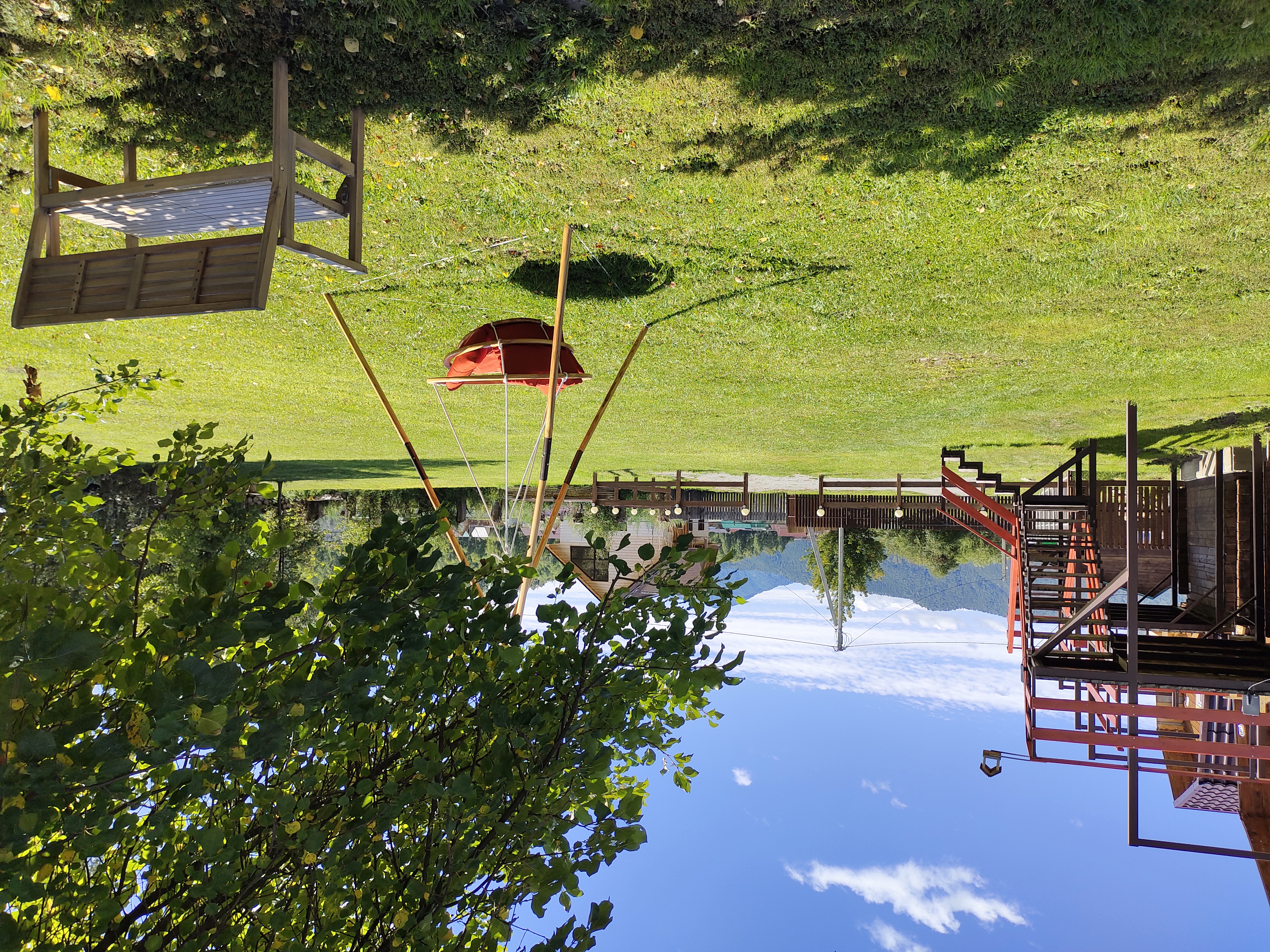 Фото Золотой медведь