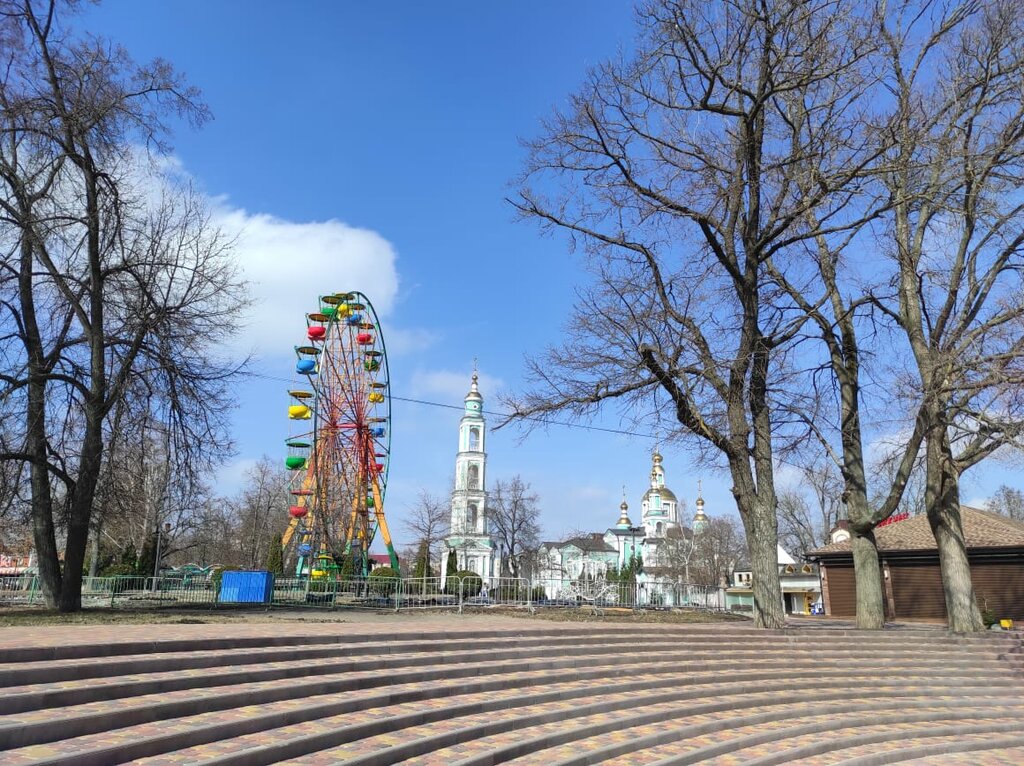 Аттракцион Колесо обозрения, Тамбов, фото