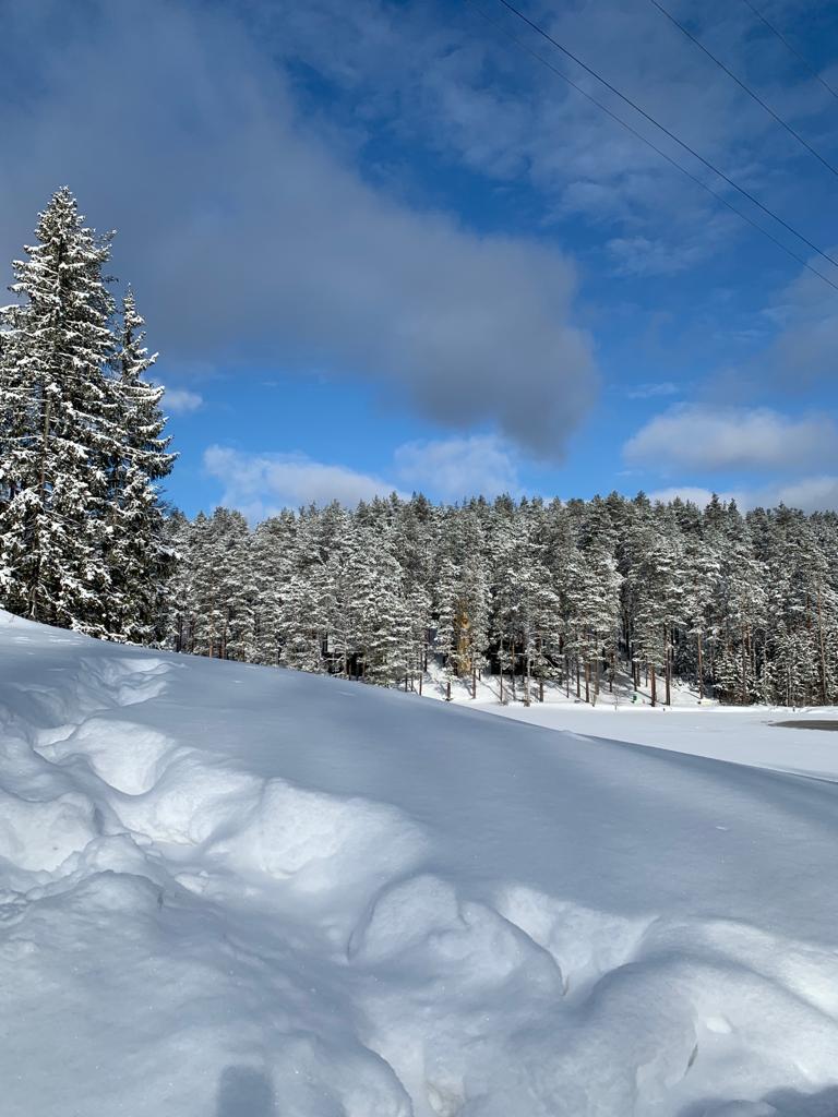 Фото Гринвальд Парк Скандинавия