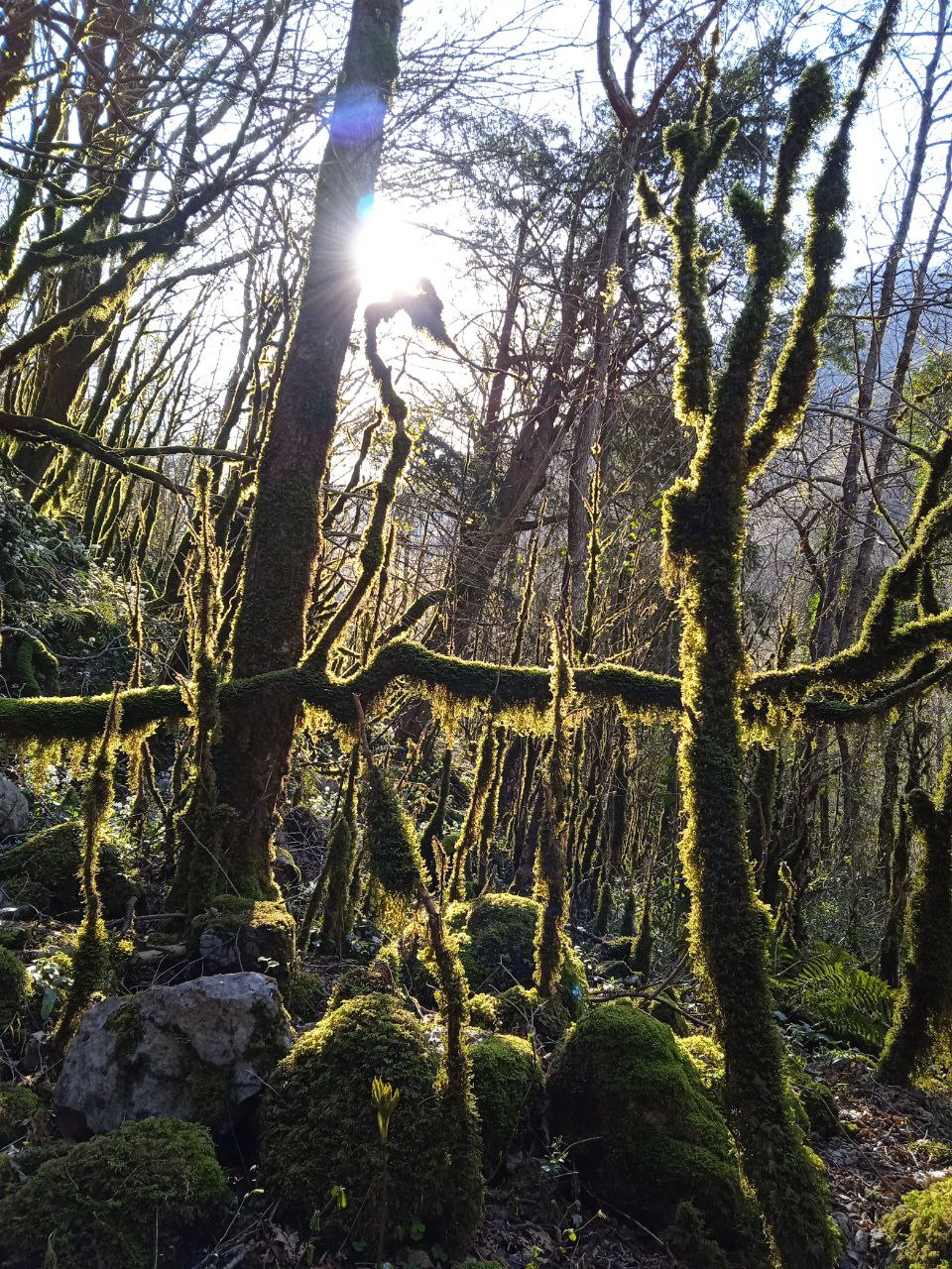 Фото Жоэквара