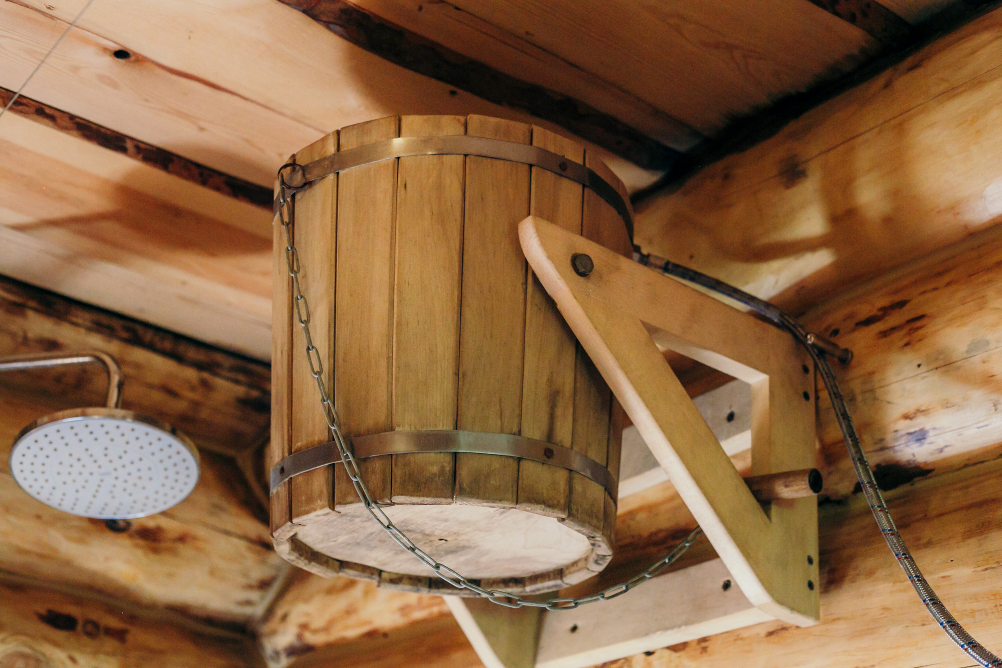 Фото Здрава Дача