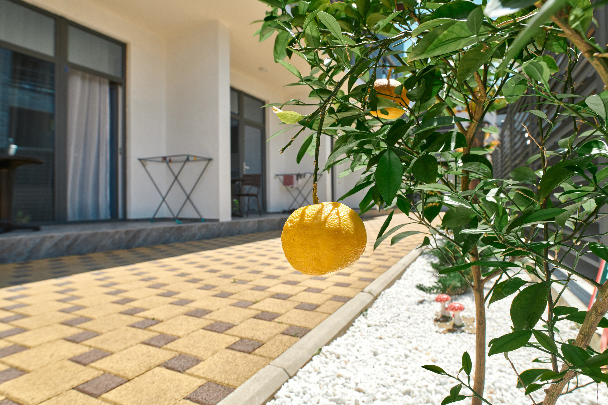 Фото Madisson RoDina