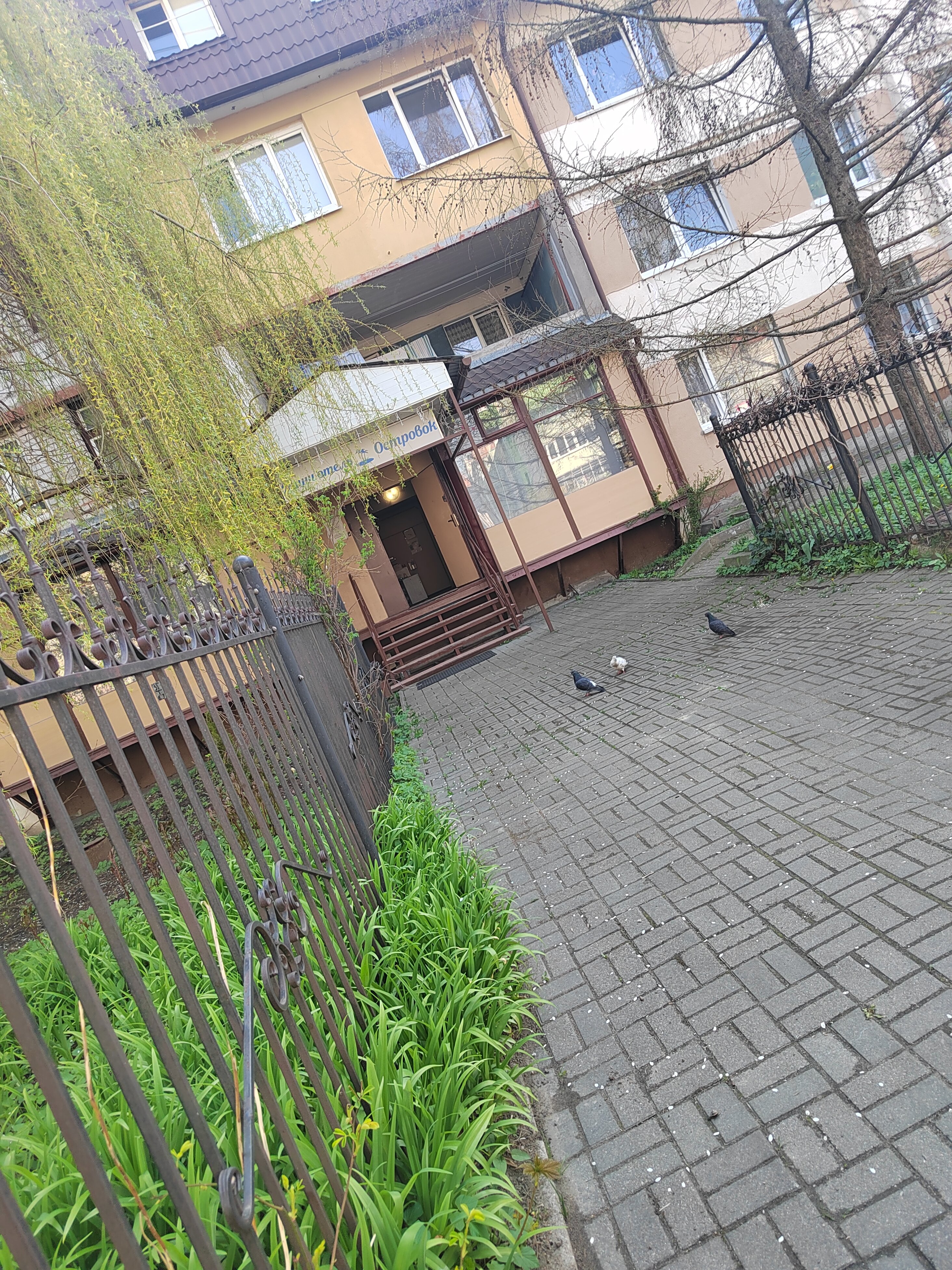 Фото Островок