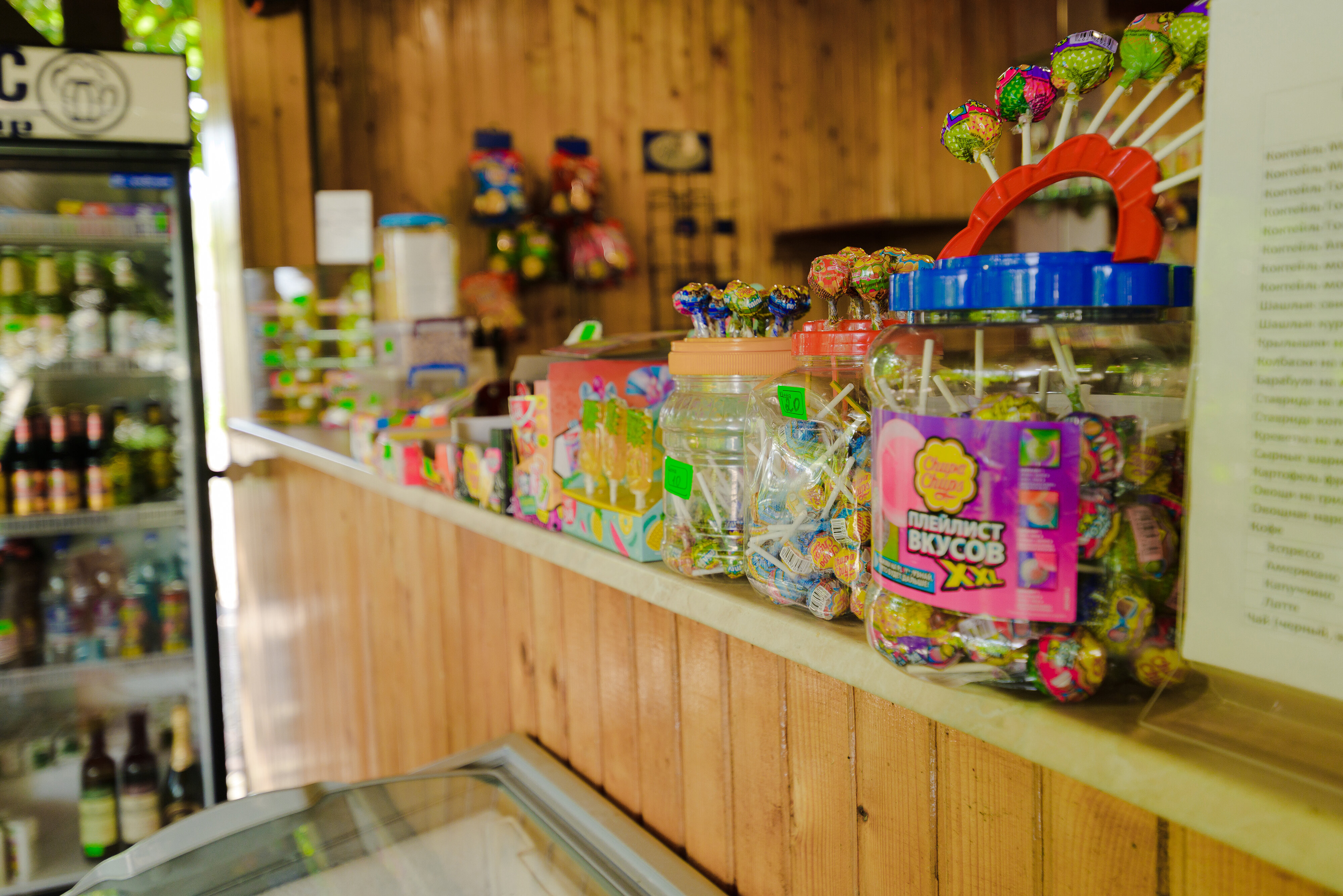 Фото Альбатрос