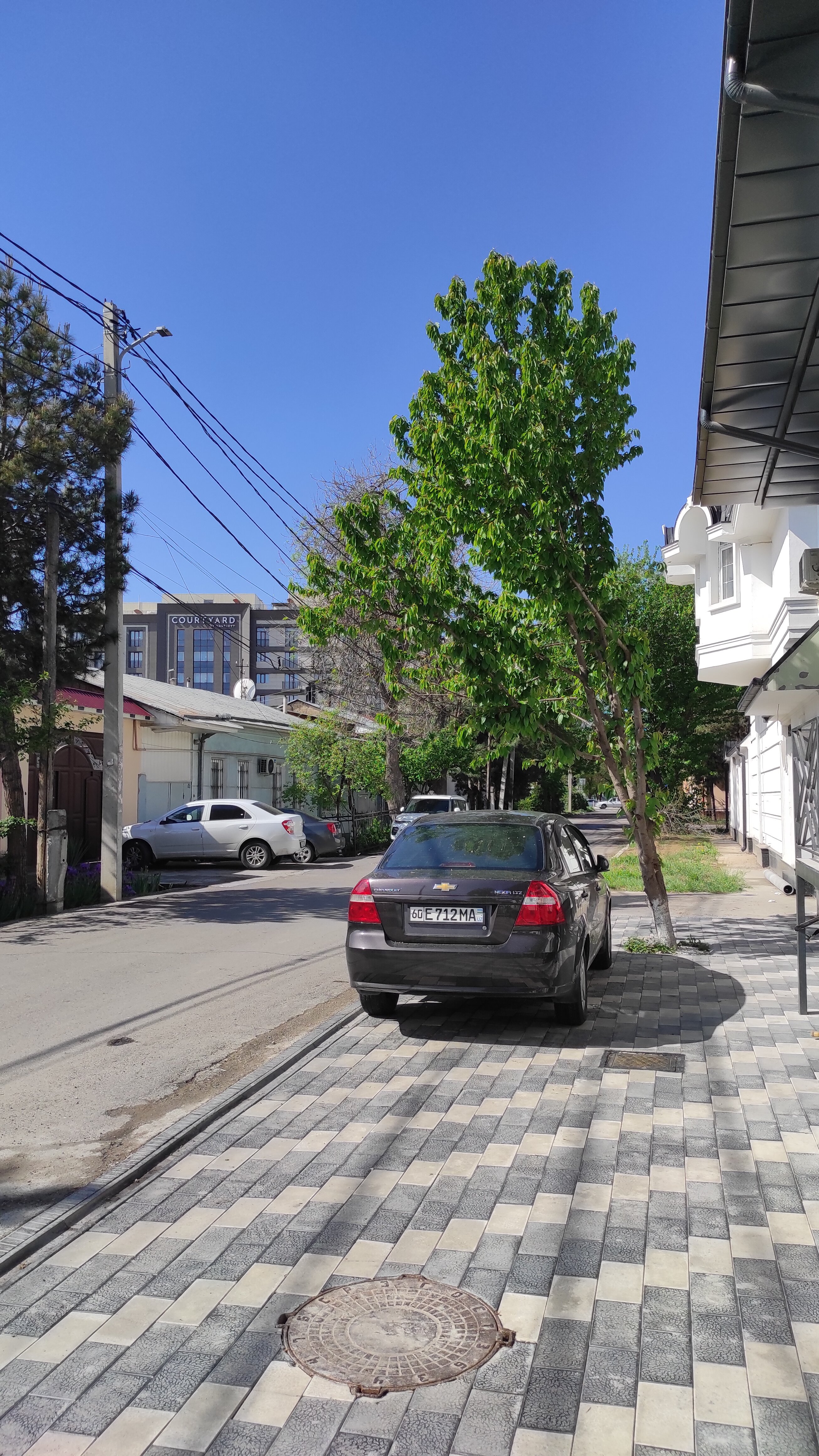 Фото Севинч