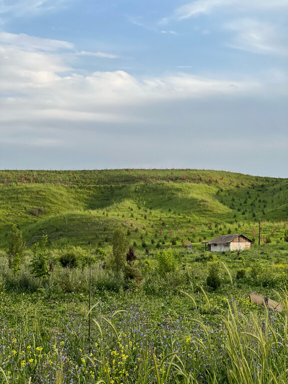 Фото Rano Eco Village