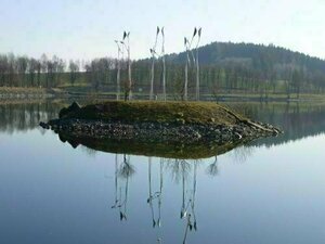 Гостиница Hotel & Restaurant Munzert