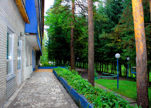 Гостиница Лесные дали, Алтайский край, фото