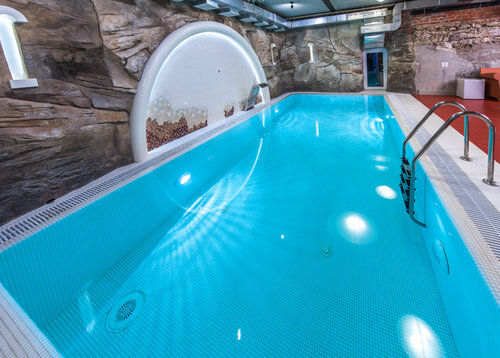 Гостиница Бронзовый Кабан в Воронеже