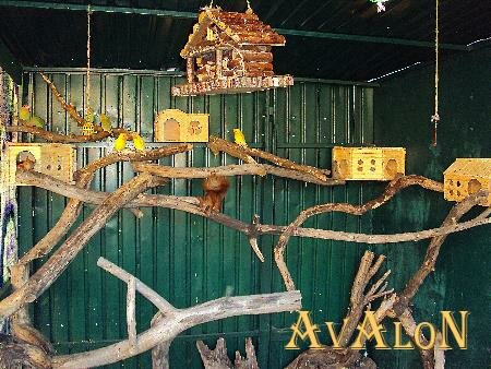 Гостиница Avalon в Василькове