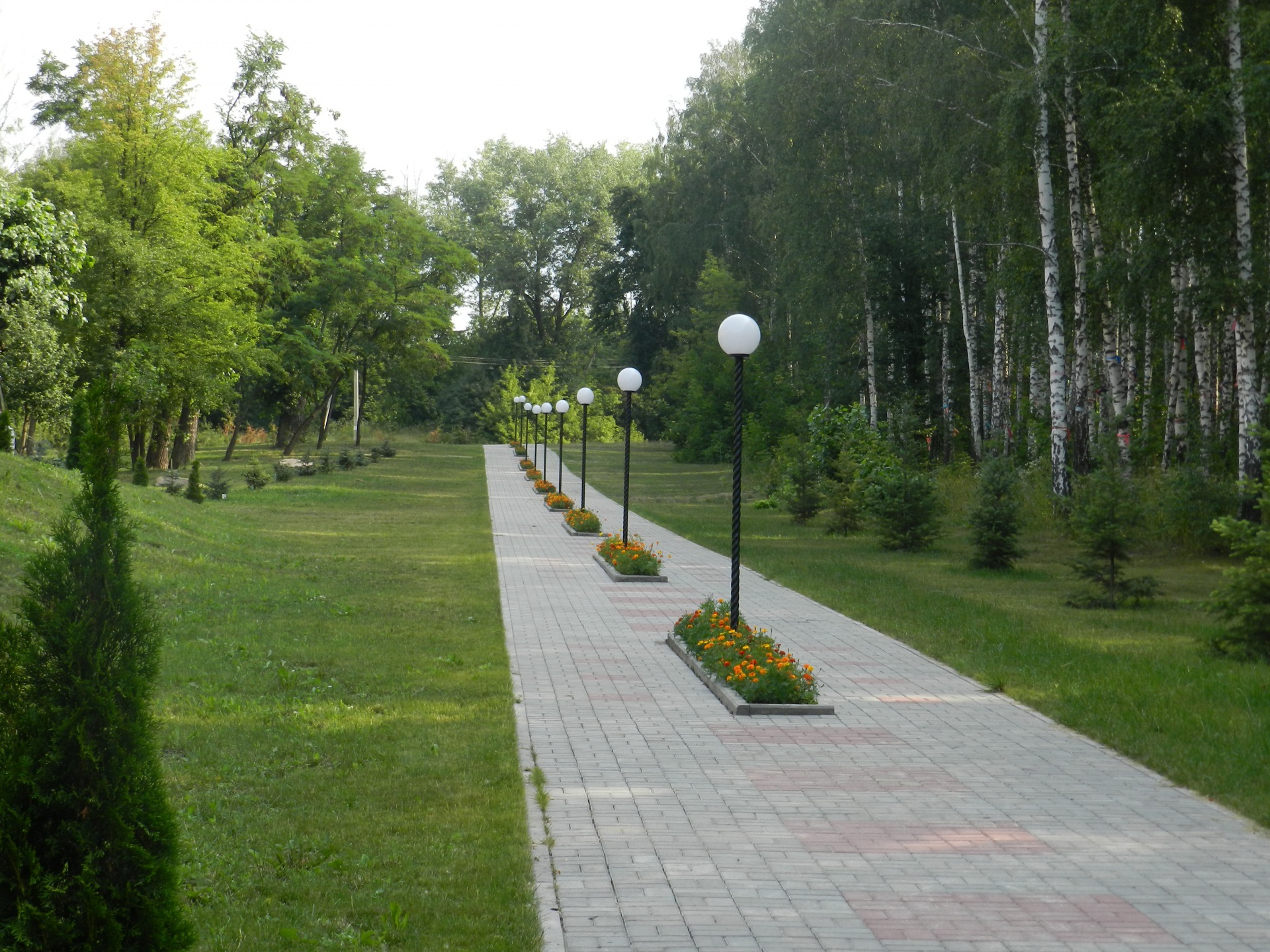 Фото Роща невест