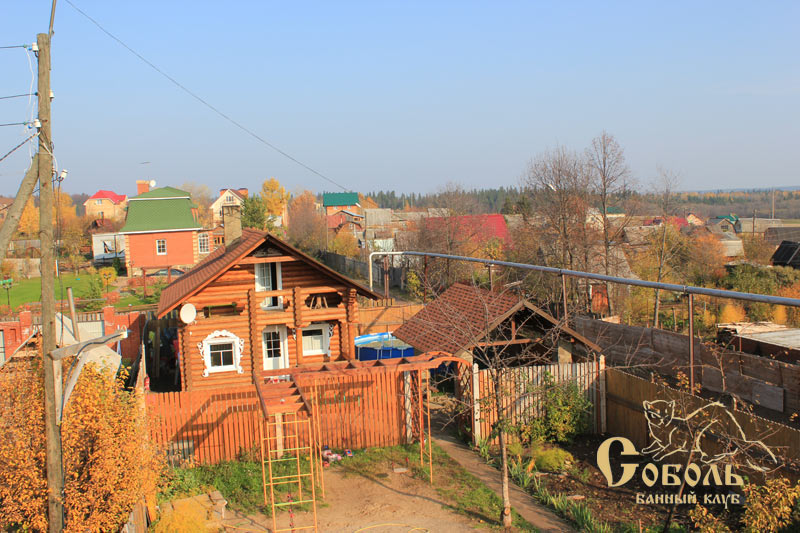 Фото Соболь