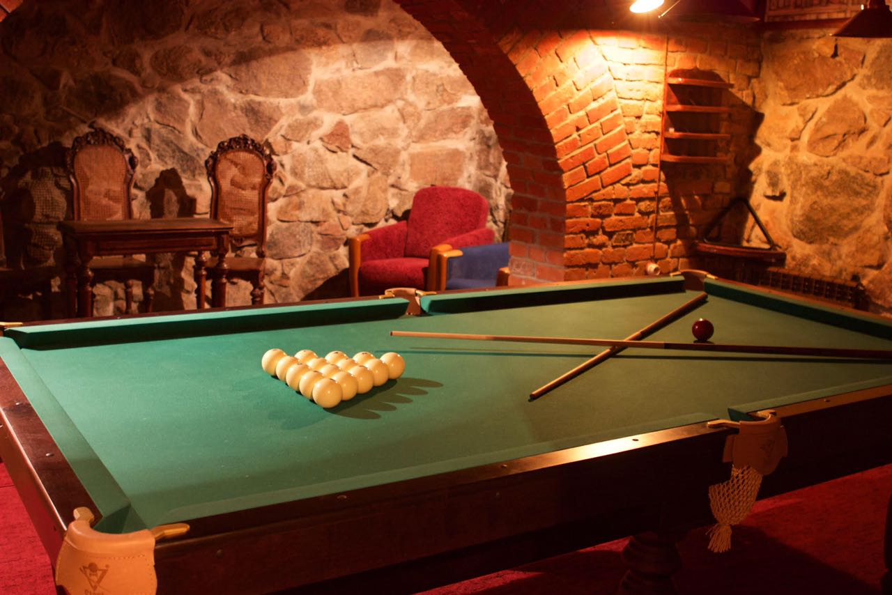 Фото Серый гусь