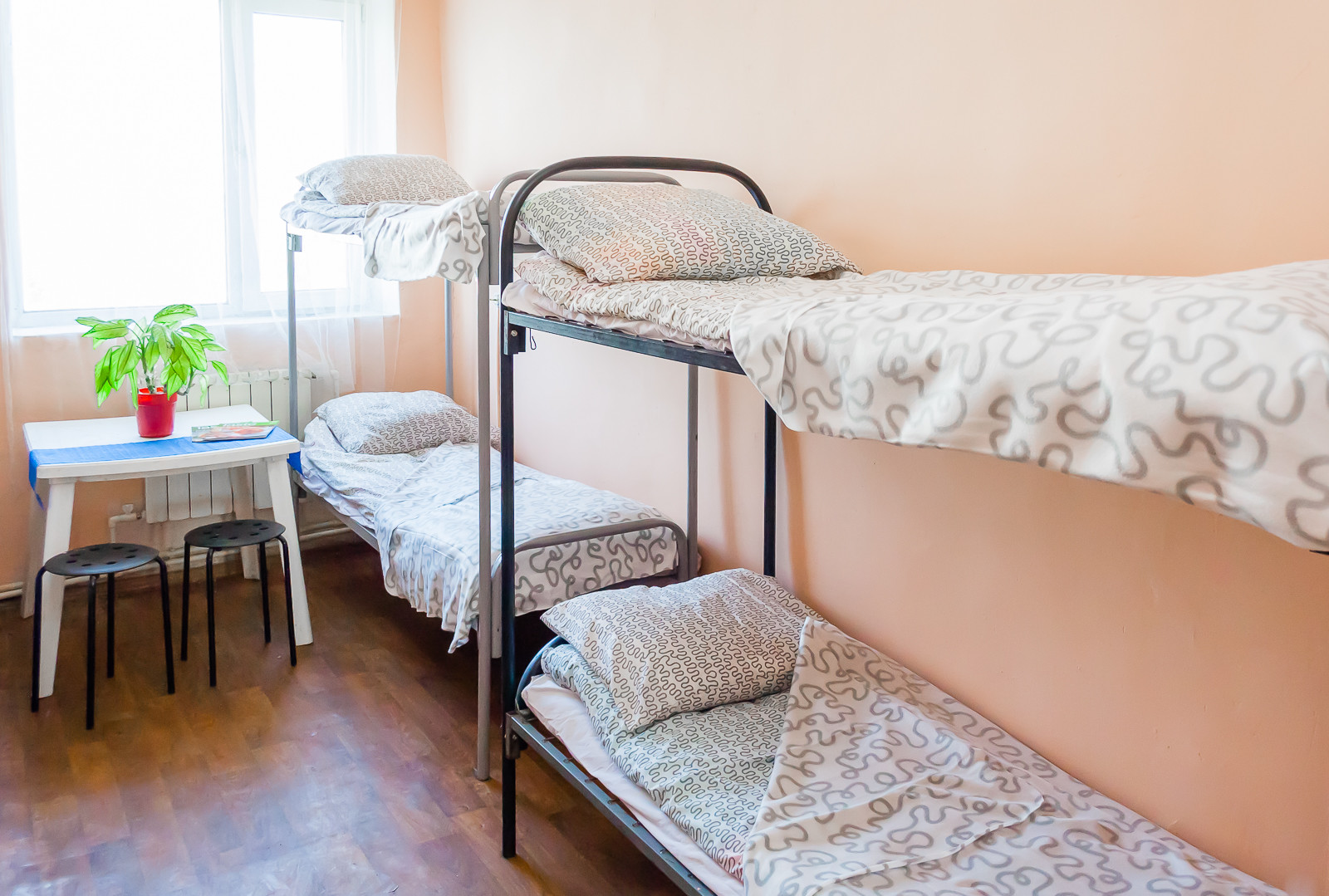 Фото Царицыно на Радиальной